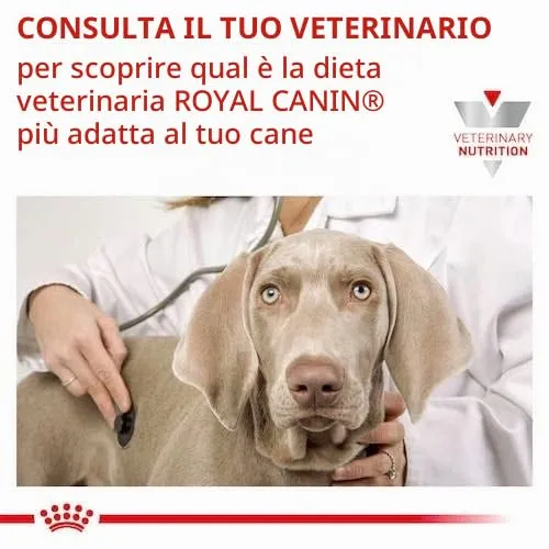 Royal Canin Veterinary Hypoallergenic Mousse for Adult Dogs, 12 x 200 g - immagine 6