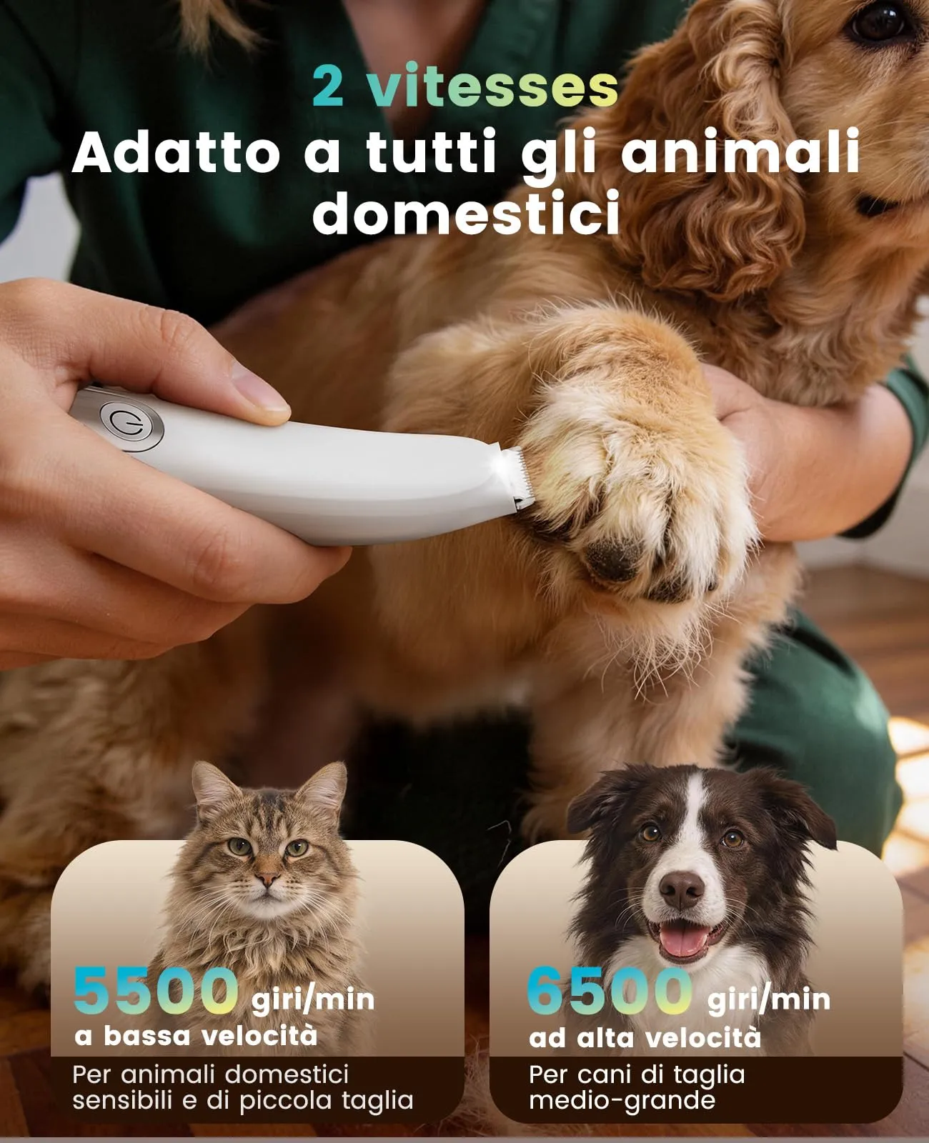 Oneisall Paw Trim Pro Tagliaunghie per Gatti e Cani con Luce LED, Versione 2026, Ultrasilenzioso, FC13 - immagine 3