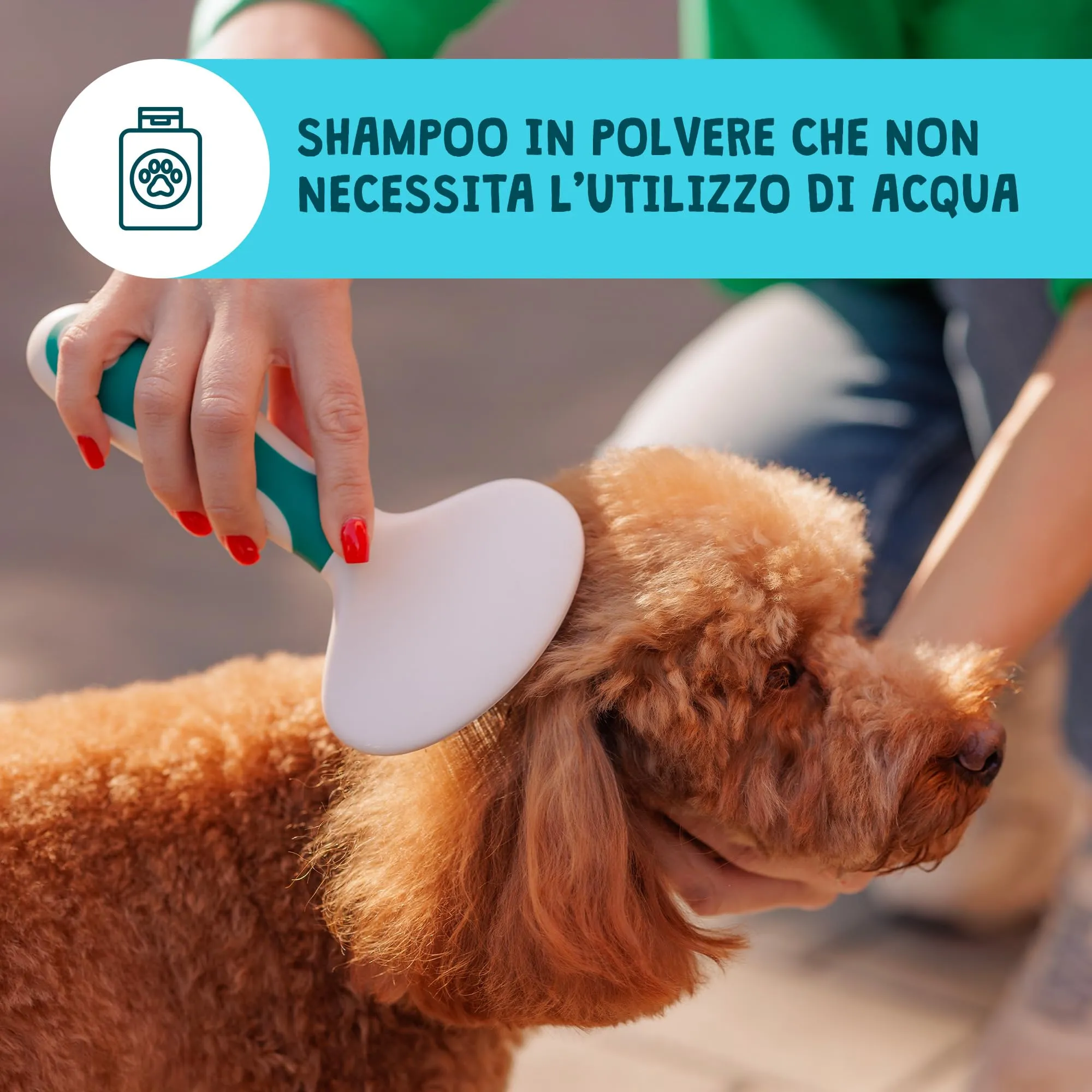 Croci Gill's Shampoo Secco in Polvere per Cani e Gatti, 200g - immagine 2