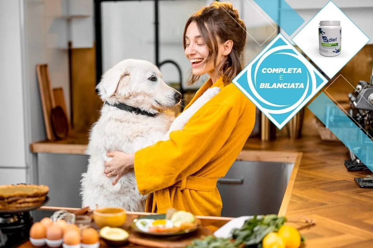 Q.Diet Compensa Ultra per Cane e Gatto, 250g in Polvere - immagine 2