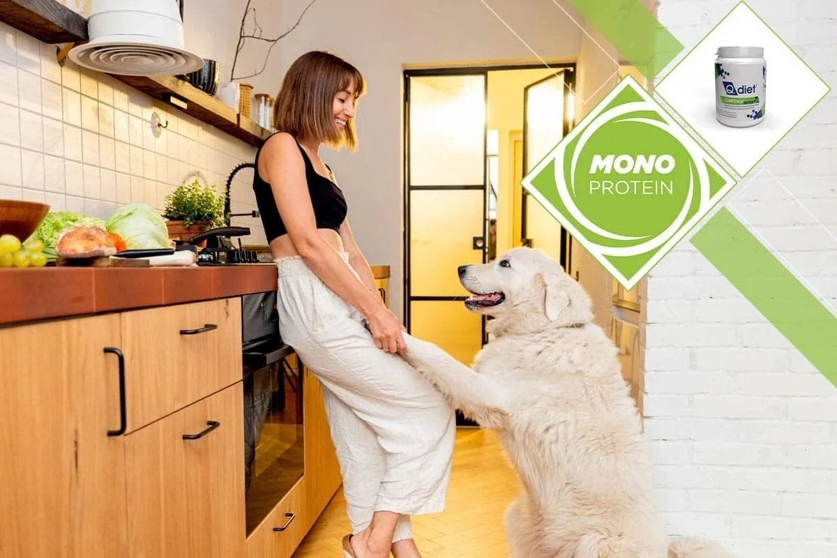 Q.Diet Compensa Ultra per Cane e Gatto, 250g in Polvere - immagine 4