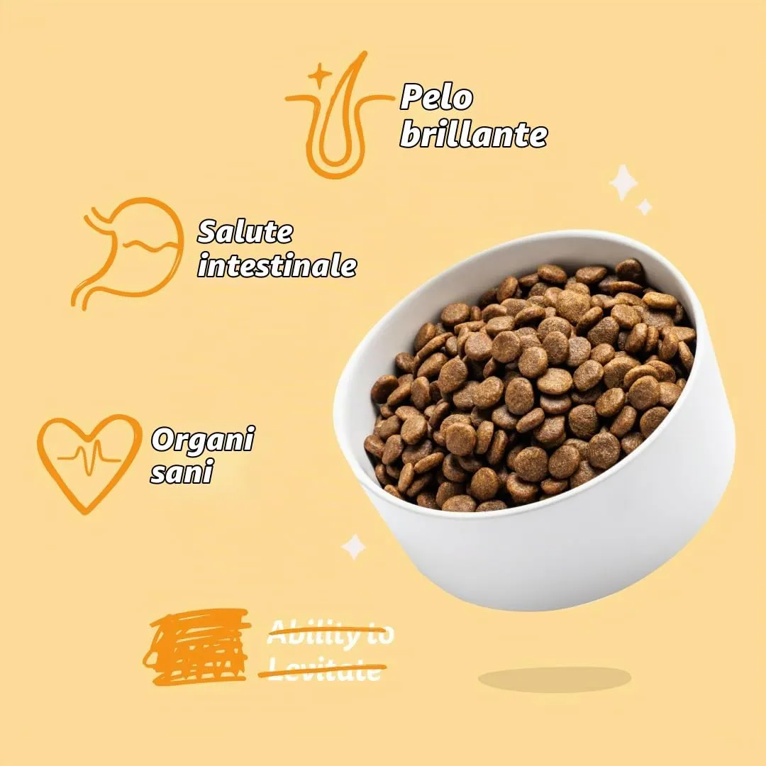 Edgard & Cooper Croccantini per Cani Adulti Carote e Zucchine, Senza Glutine, 2.5kg - immagine 6