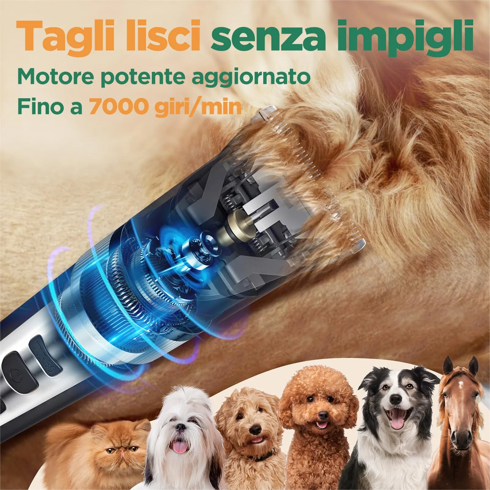 Gimars Tosatrice Professionale 3 in 1 per Cani e Gatti, 4 Velocità, 7000 RPM, Senza Fili e Ricaricabile - immagine 2