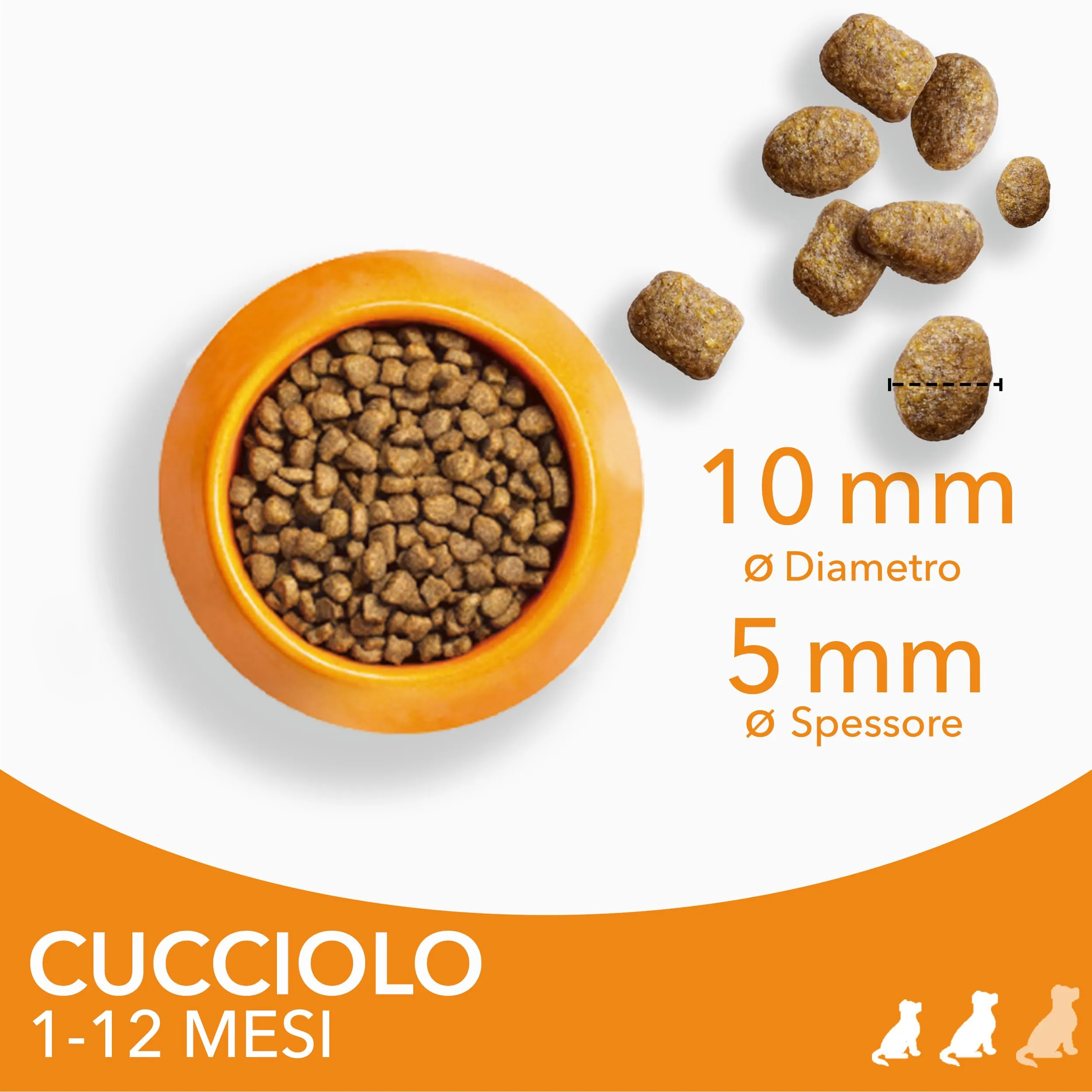 IAMS Cibo secco per cuccioli piccola/media al pollo, 3 kg - immagine 4