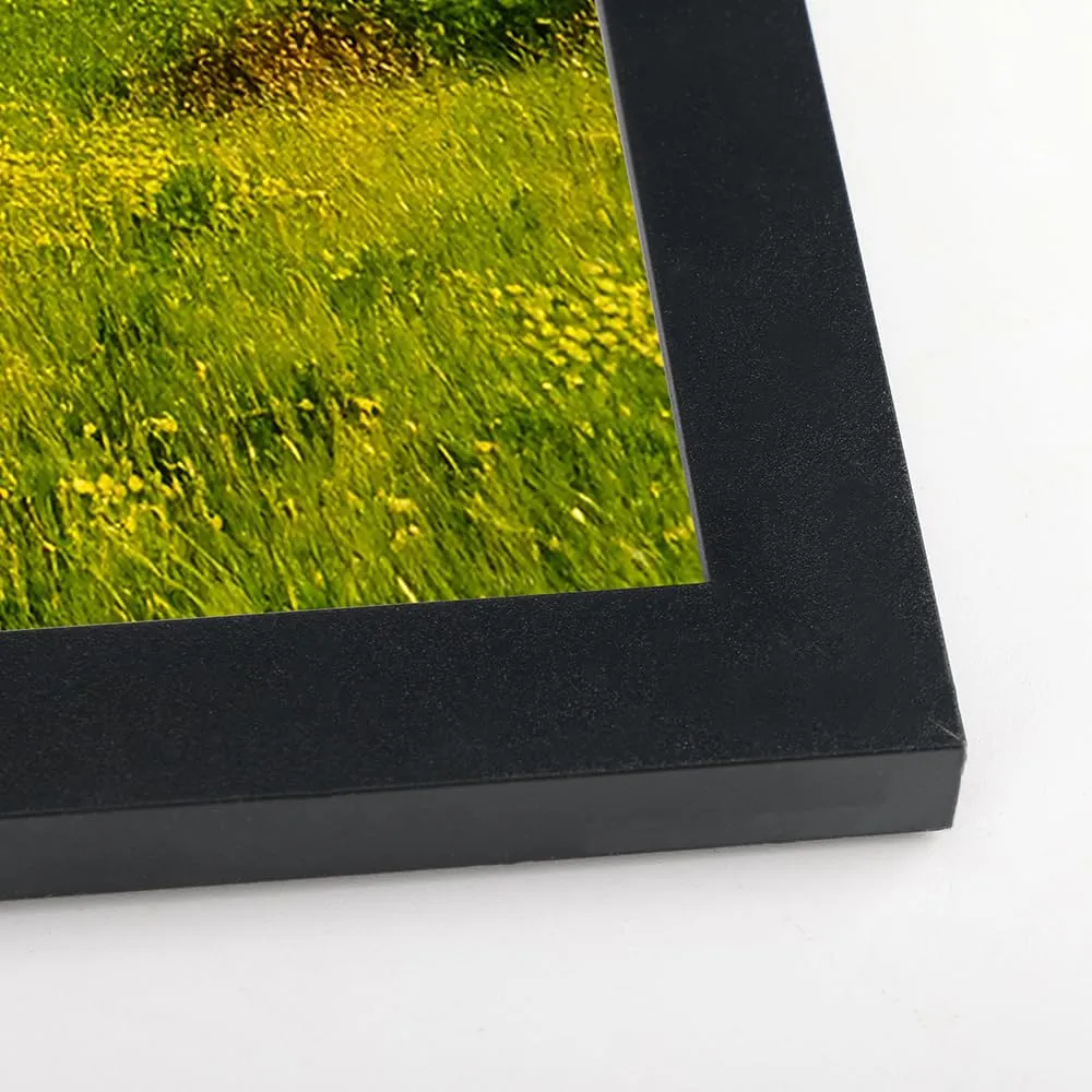 Ditwis Cornice in Alluminio 45x60 cm, Nera - immagine 6
