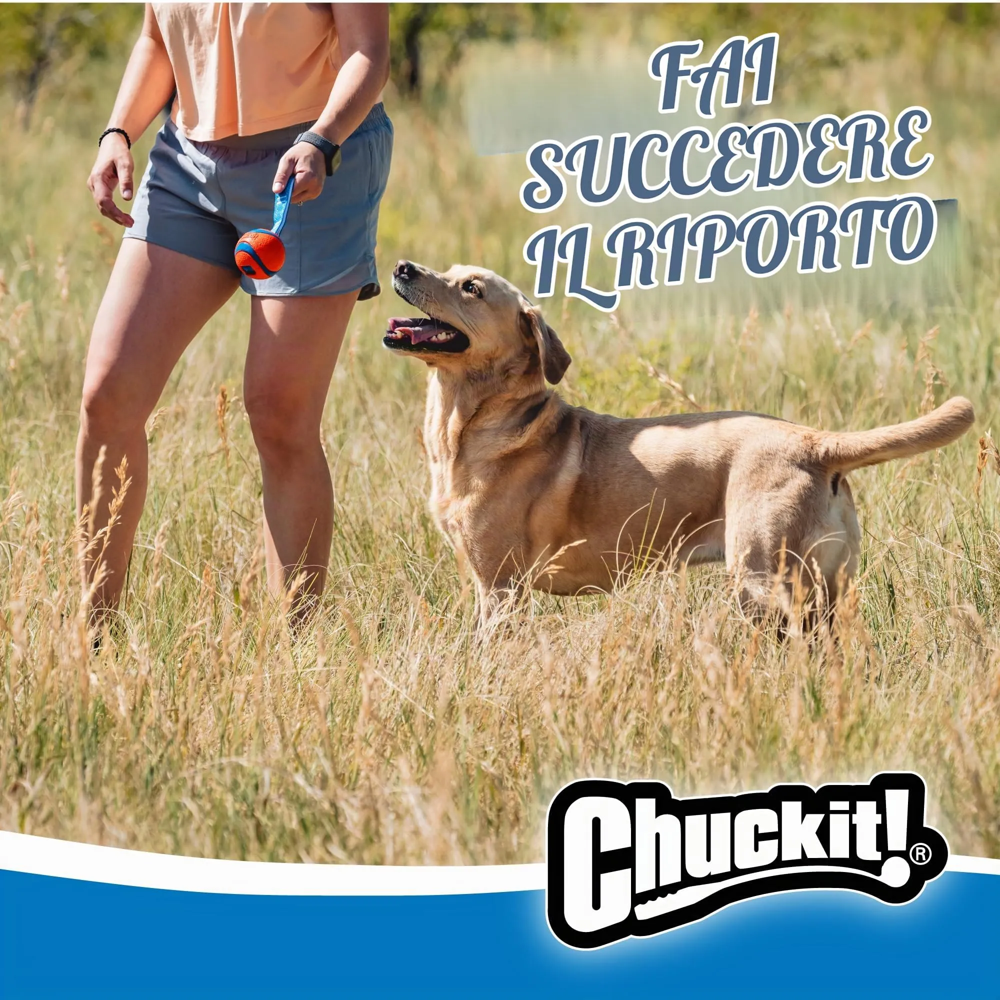 Chuckit! Ultra Tug, M - immagine 3