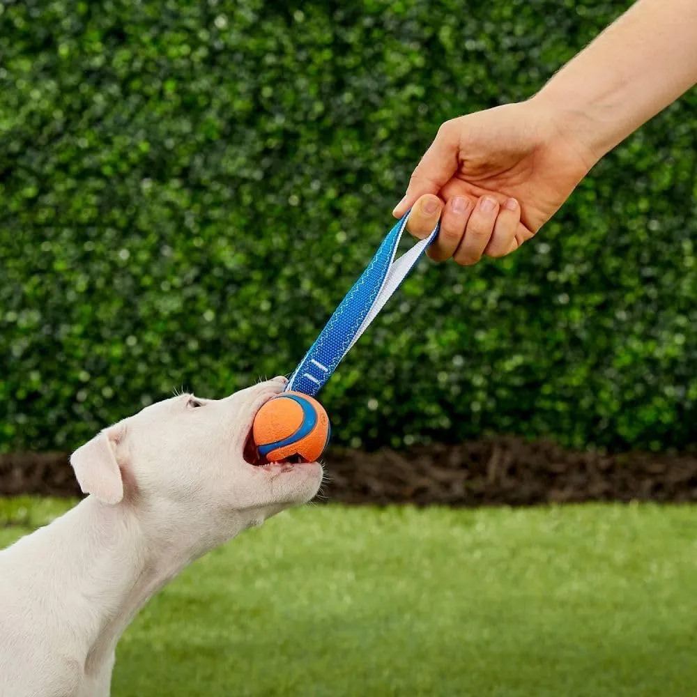 Chuckit! Ultra Tug, S - immagine 4