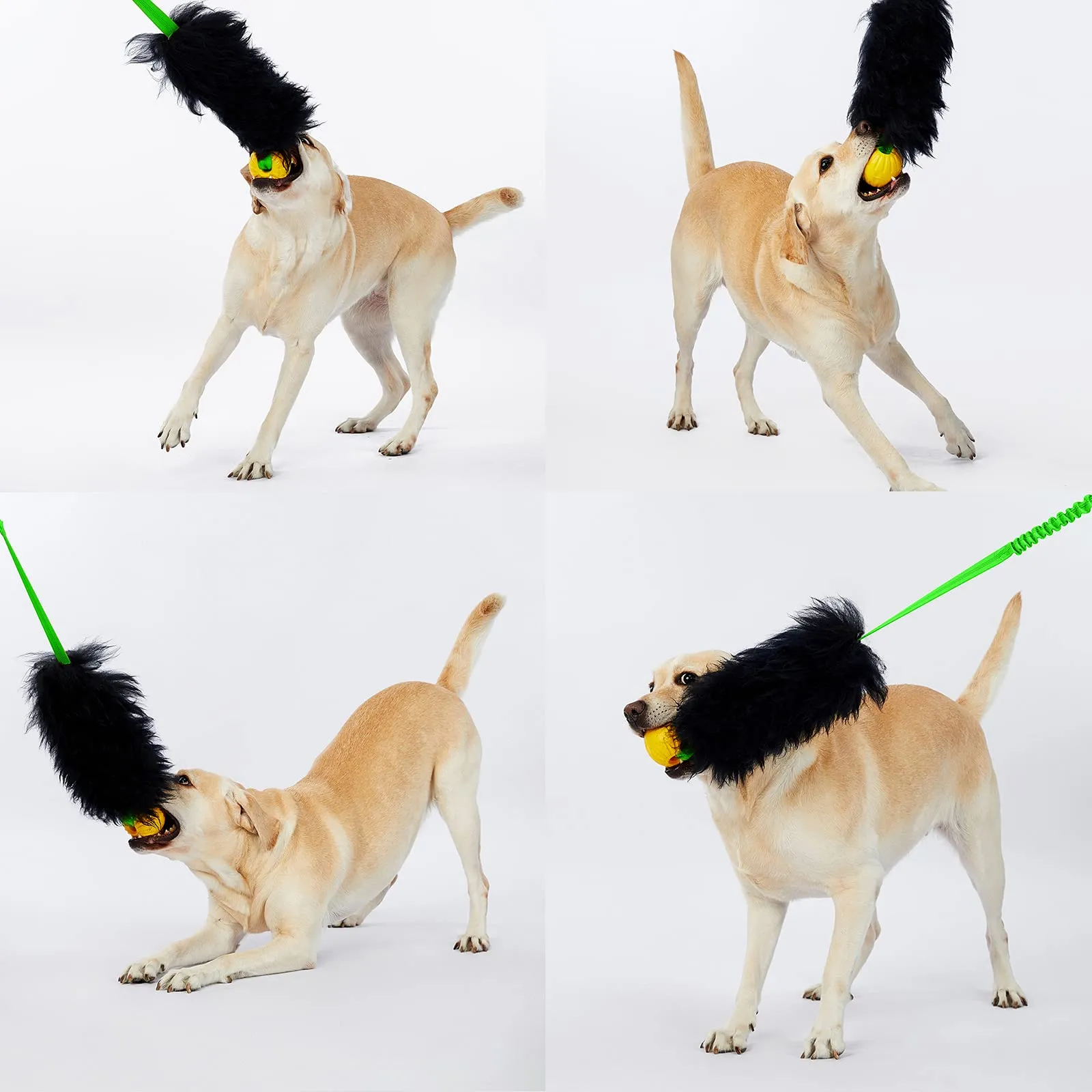 HOWGO Bungee Chaser Giocattolo di Corda per Cani in Pelle di Pecora, Verde, Corto (senza palla di gomma) - immagine 2