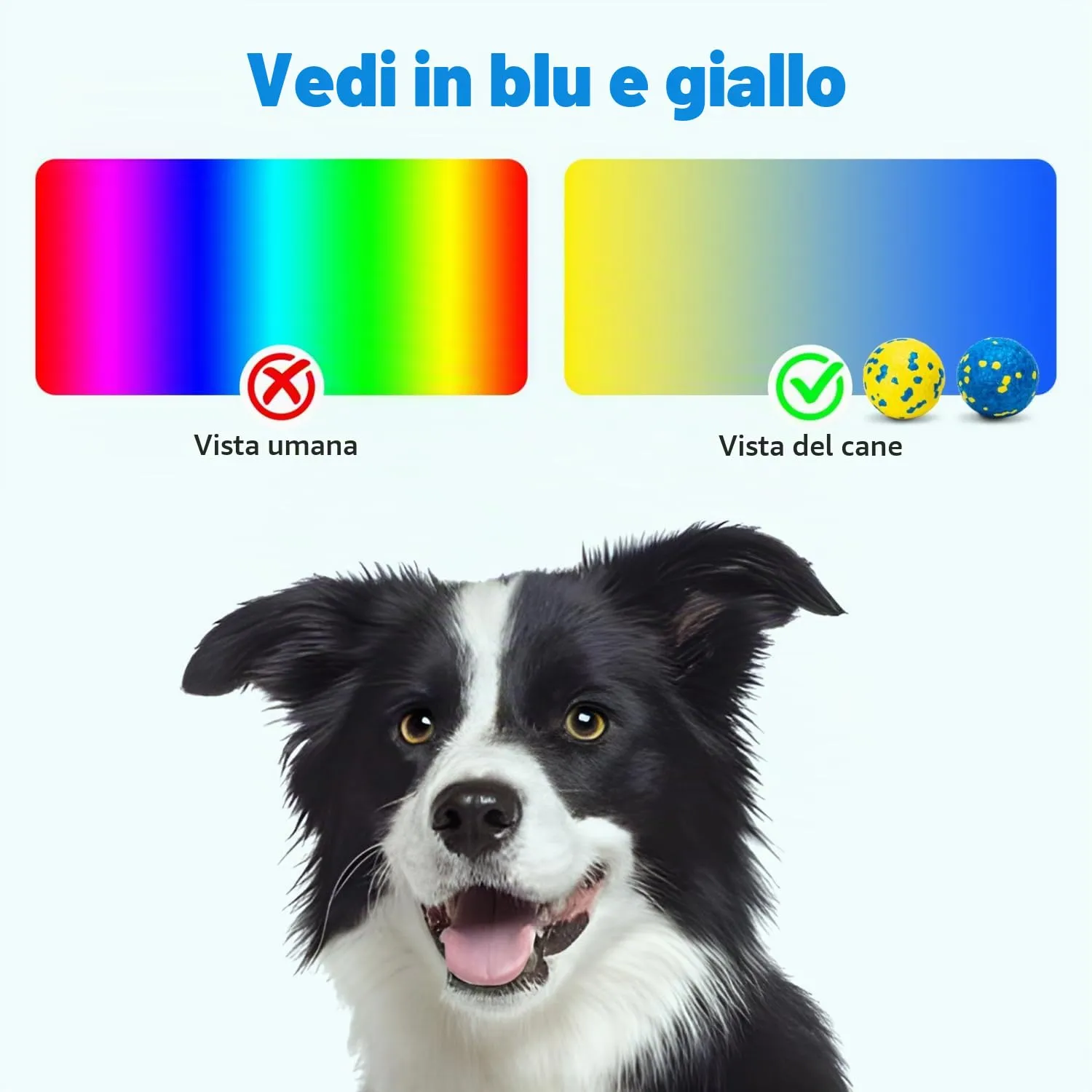 Nobleza Palline per Cani in E-TPU, 3 Pezzi, Ø 6.3cm - immagine 4