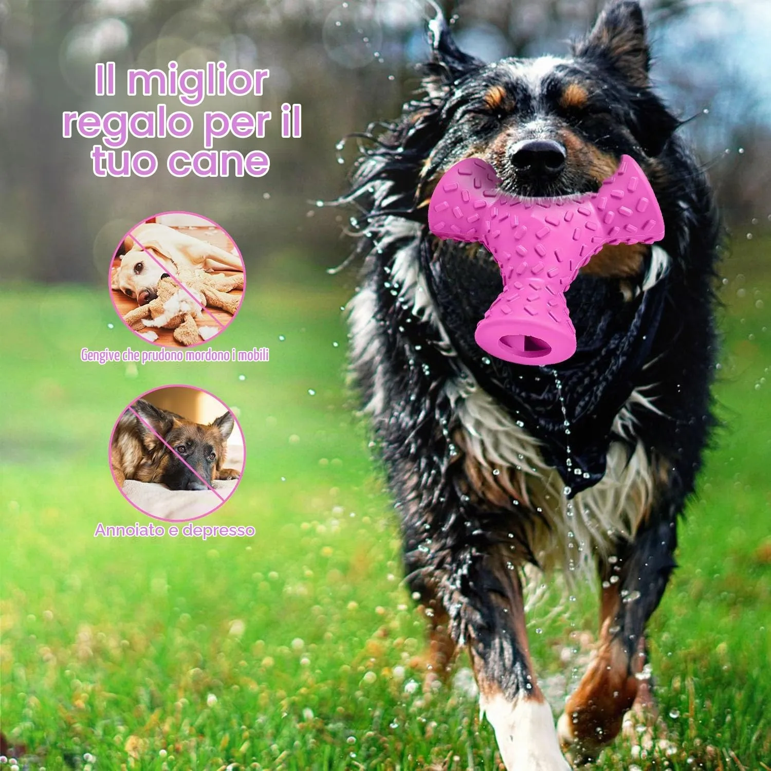 Autoau Giochi per Cani in Gomma Naturale, Palla Interattiva per Masticazione e Pulizia Denti, per Cani Aggressivi di Media e Grande Taglia - immagine 3