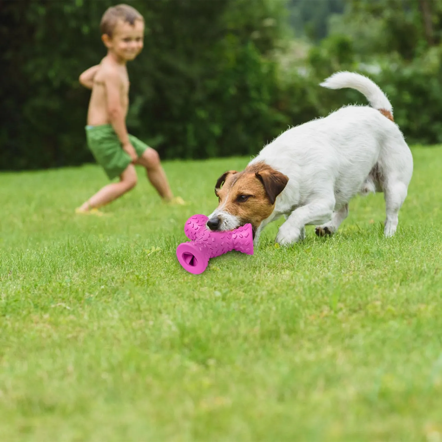 Autoau Giochi per Cani in Gomma Naturale, Palla Interattiva per Masticazione e Pulizia Denti, per Cani Aggressivi di Media e Grande Taglia - immagine 6