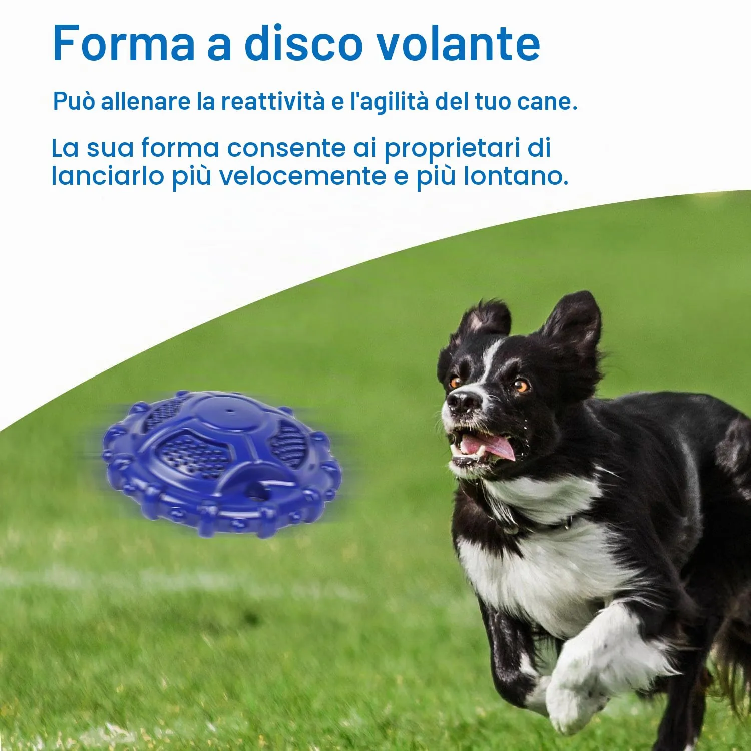 Autoau Giocattolo Interattivo per Cani in Gomma Naturale, Masticativo con Squeaker per Cani Medi e Grandi, Pulizia Denti - immagine 2