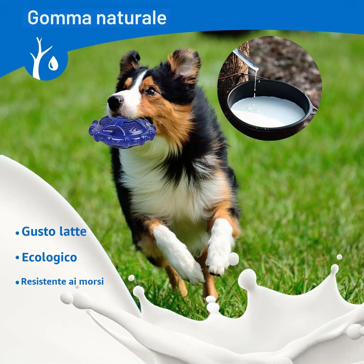 Autoau Giocattolo Interattivo per Cani in Gomma Naturale, Masticativo con Squeaker per Cani Medi e Grandi, Pulizia Denti - immagine 3