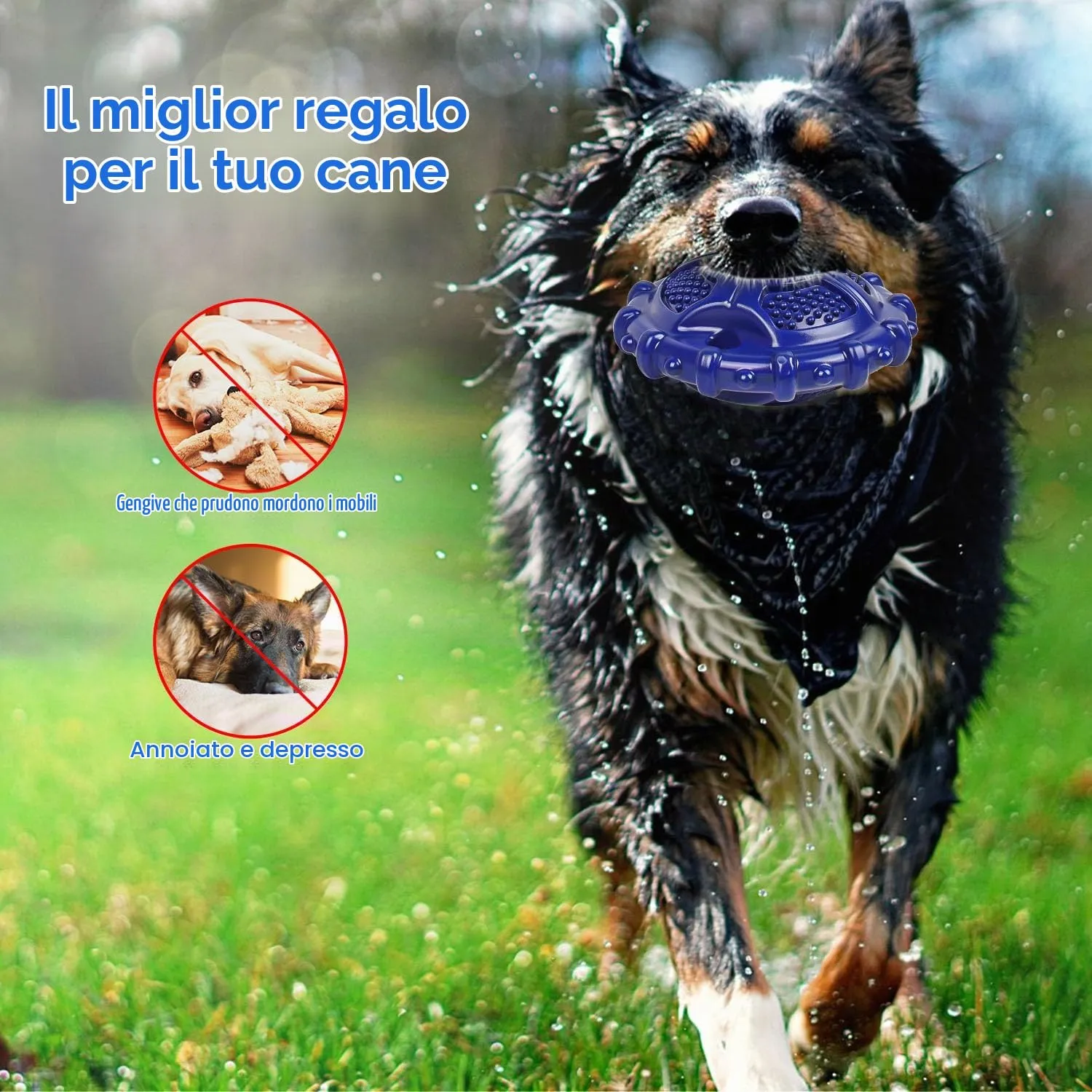 Autoau Giocattolo Interattivo per Cani in Gomma Naturale, Masticativo con Squeaker per Cani Medi e Grandi, Pulizia Denti - immagine 4