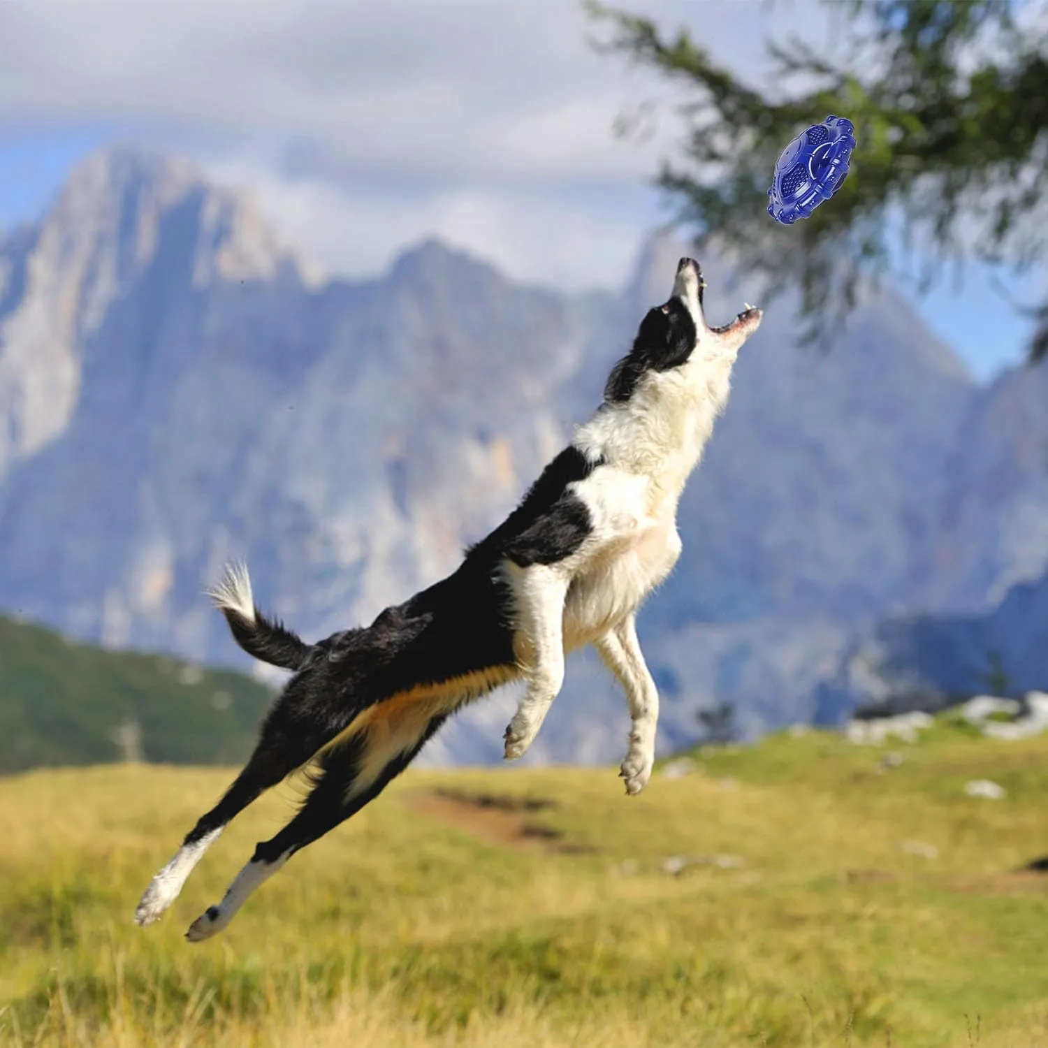 Autoau Giocattolo Interattivo per Cani in Gomma Naturale, Masticativo con Squeaker per Cani Medi e Grandi, Pulizia Denti - immagine 6