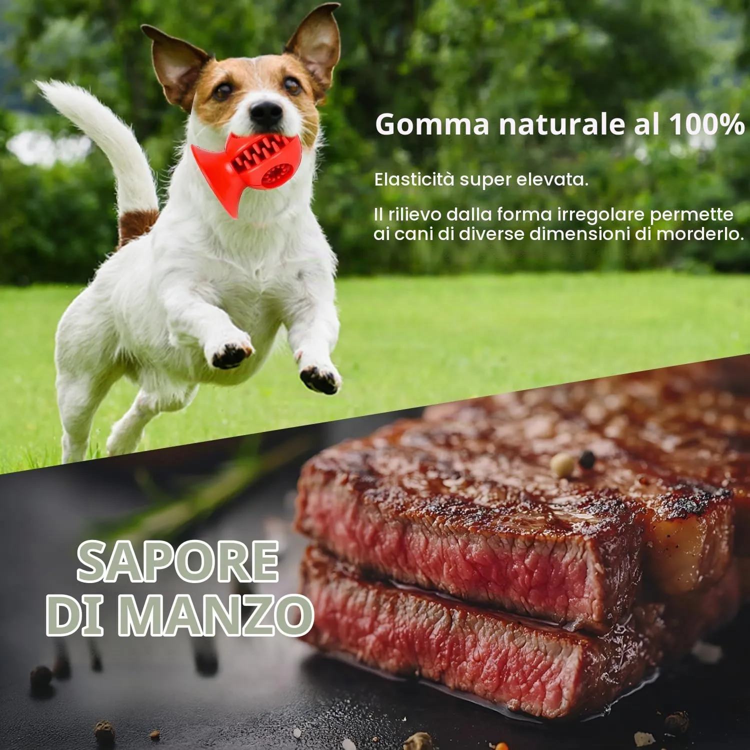 Autoau Osso per Cani in Gomma Naturale, Giocattolo da Masticare per Pulizia dei Denti, Taglia S/M - immagine 3