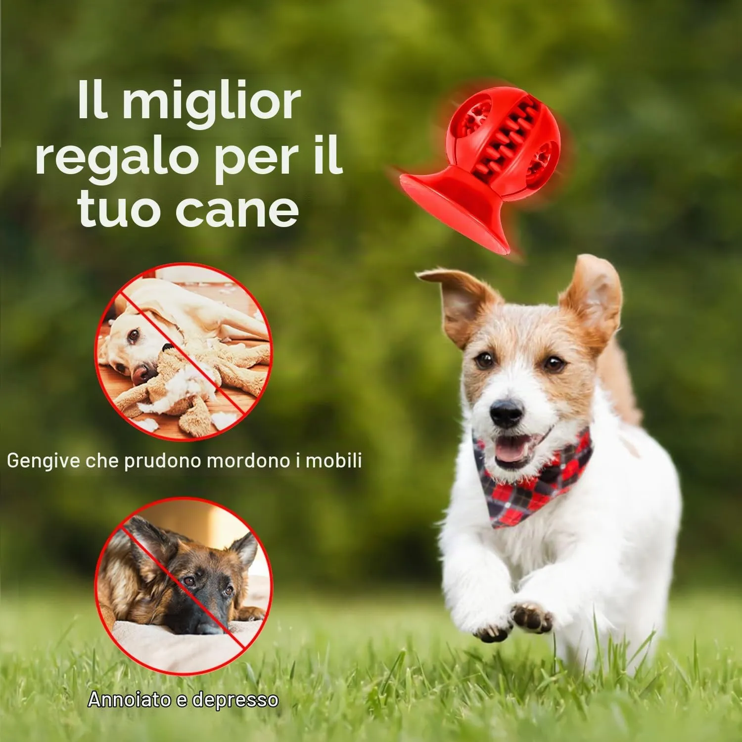 Autoau Osso per Cani in Gomma Naturale, Giocattolo da Masticare per Pulizia dei Denti, Taglia S/M - immagine 5
