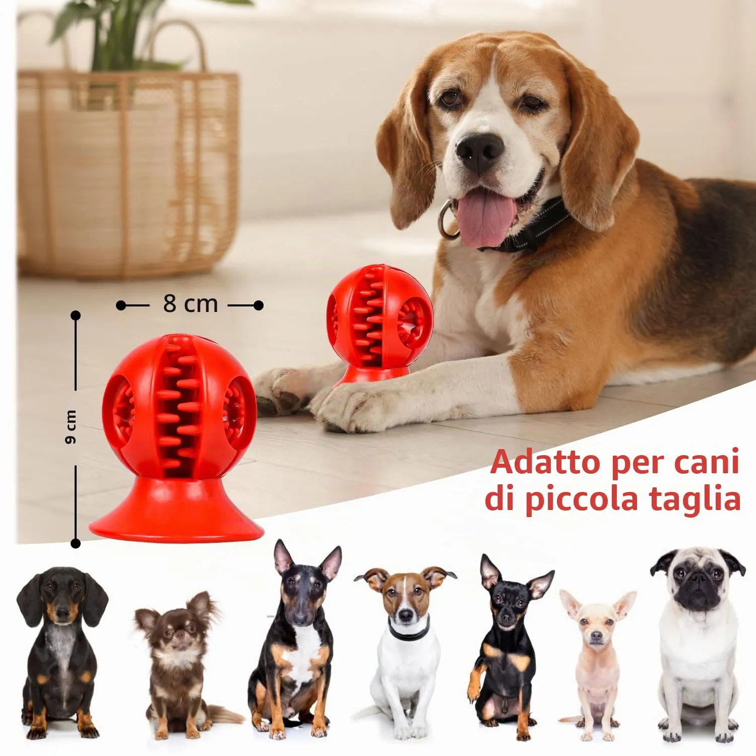 Autoau Osso per Cani in Gomma Naturale, Giocattolo da Masticare per Pulizia dei Denti, Taglia S/M - immagine 7