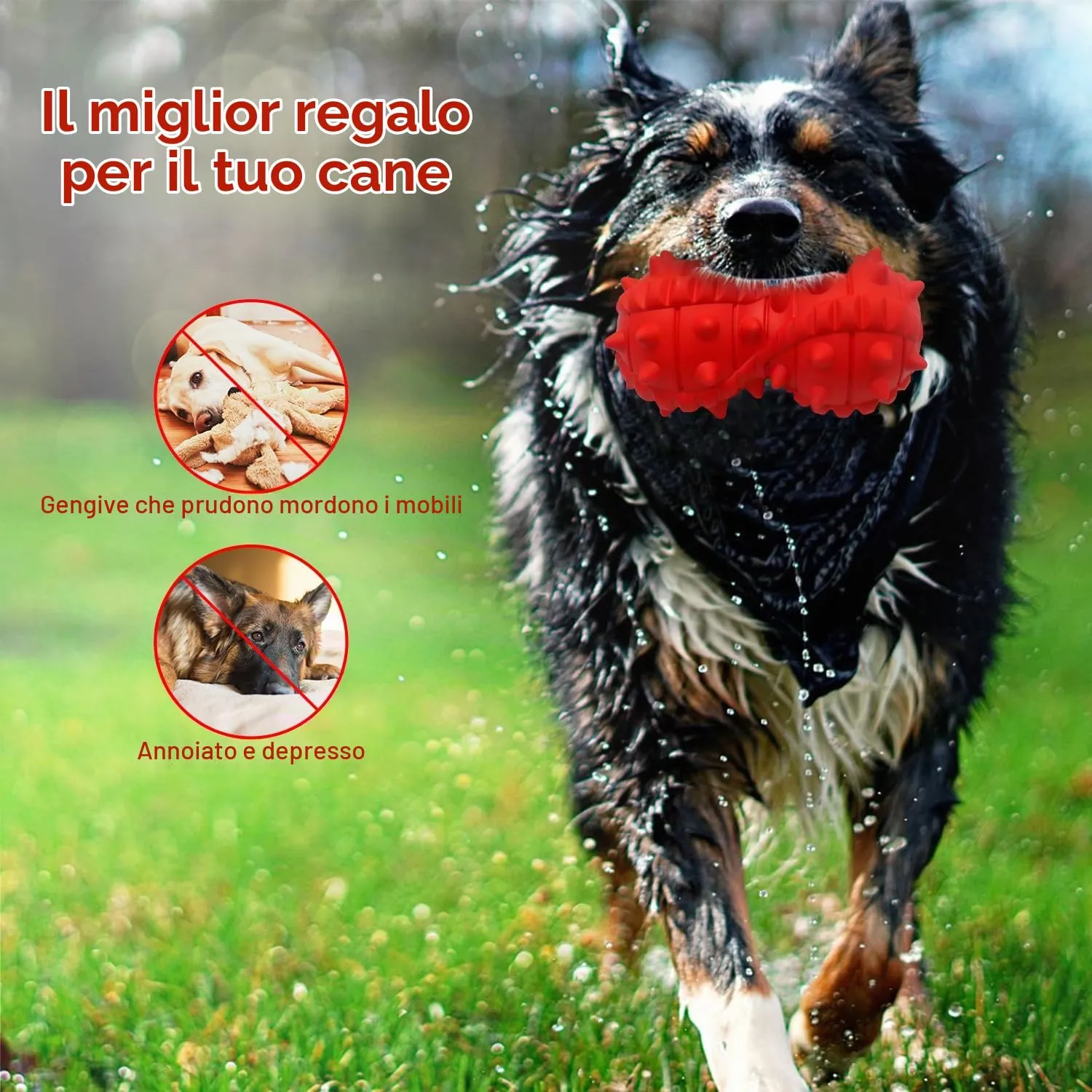 Autoau Giochi per Cani in Gomma Naturale, Palla Interattiva per Masticare e Pulizia Denti per Cani Aggressivi di Media e Grande Taglia - immagine 5
