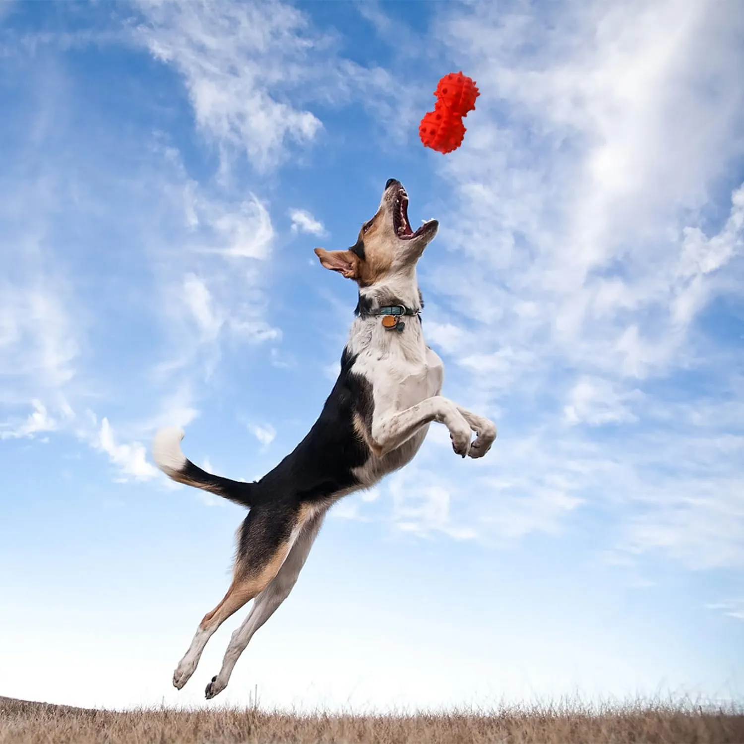 Autoau Giochi per Cani in Gomma Naturale, Palla Interattiva per Masticare e Pulizia Denti per Cani Aggressivi di Media e Grande Taglia - immagine 6