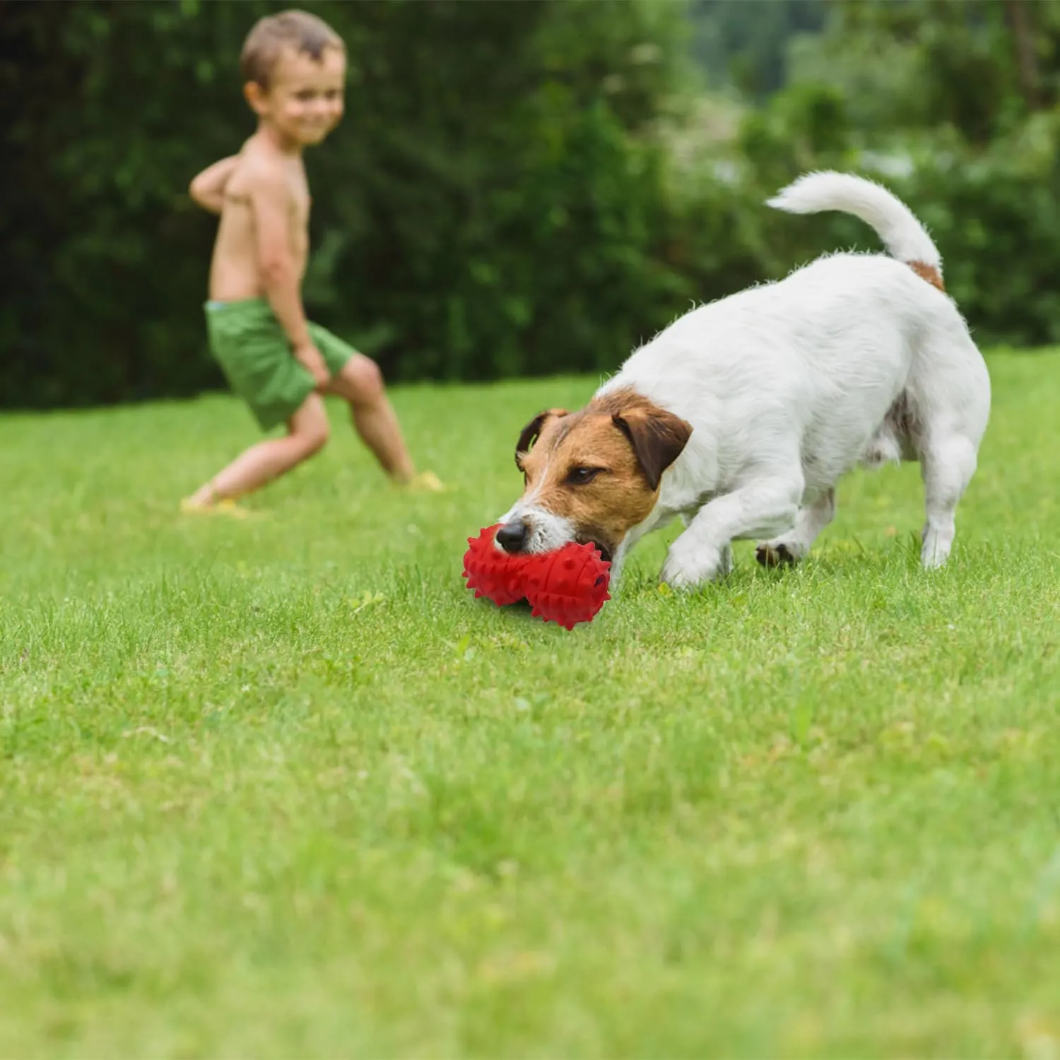 Autoau Giochi per Cani in Gomma Naturale, Palla Interattiva per Masticare e Pulizia Denti per Cani Aggressivi di Media e Grande Taglia - immagine 7