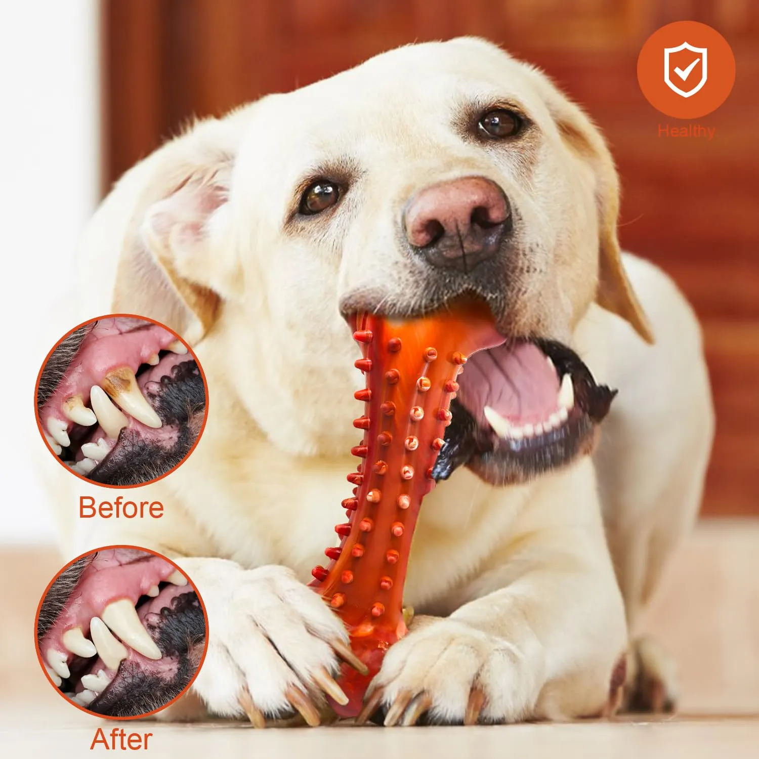 Autoau Osso per Cani in Gomma Naturale, Giocattolo da Masticare per Pulizia dei Denti, Interattivo per Cani di Taglia Piccola, Media e Grande - immagine 3