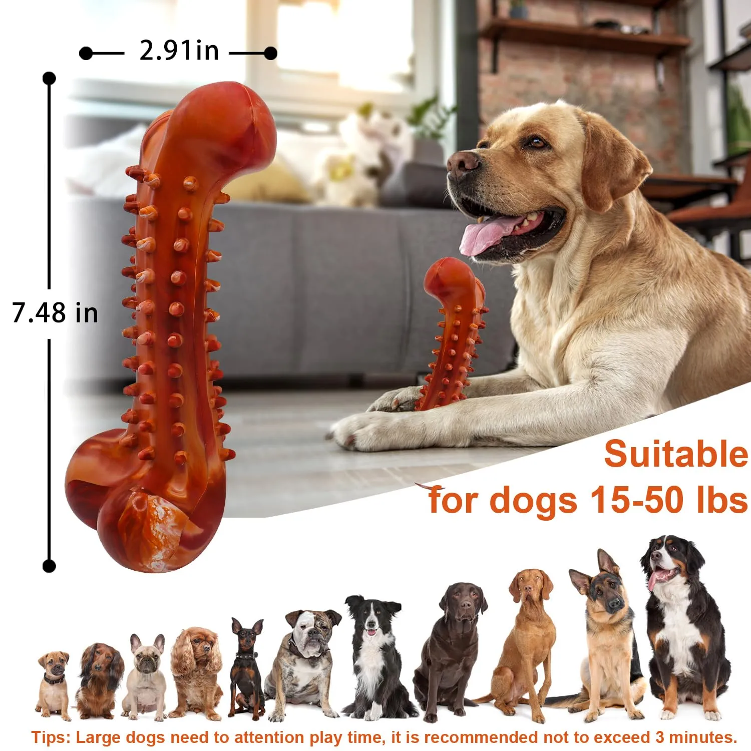 Autoau Osso per Cani in Gomma Naturale, Giocattolo da Masticare per Pulizia dei Denti, Interattivo per Cani di Taglia Piccola, Media e Grande - immagine 5