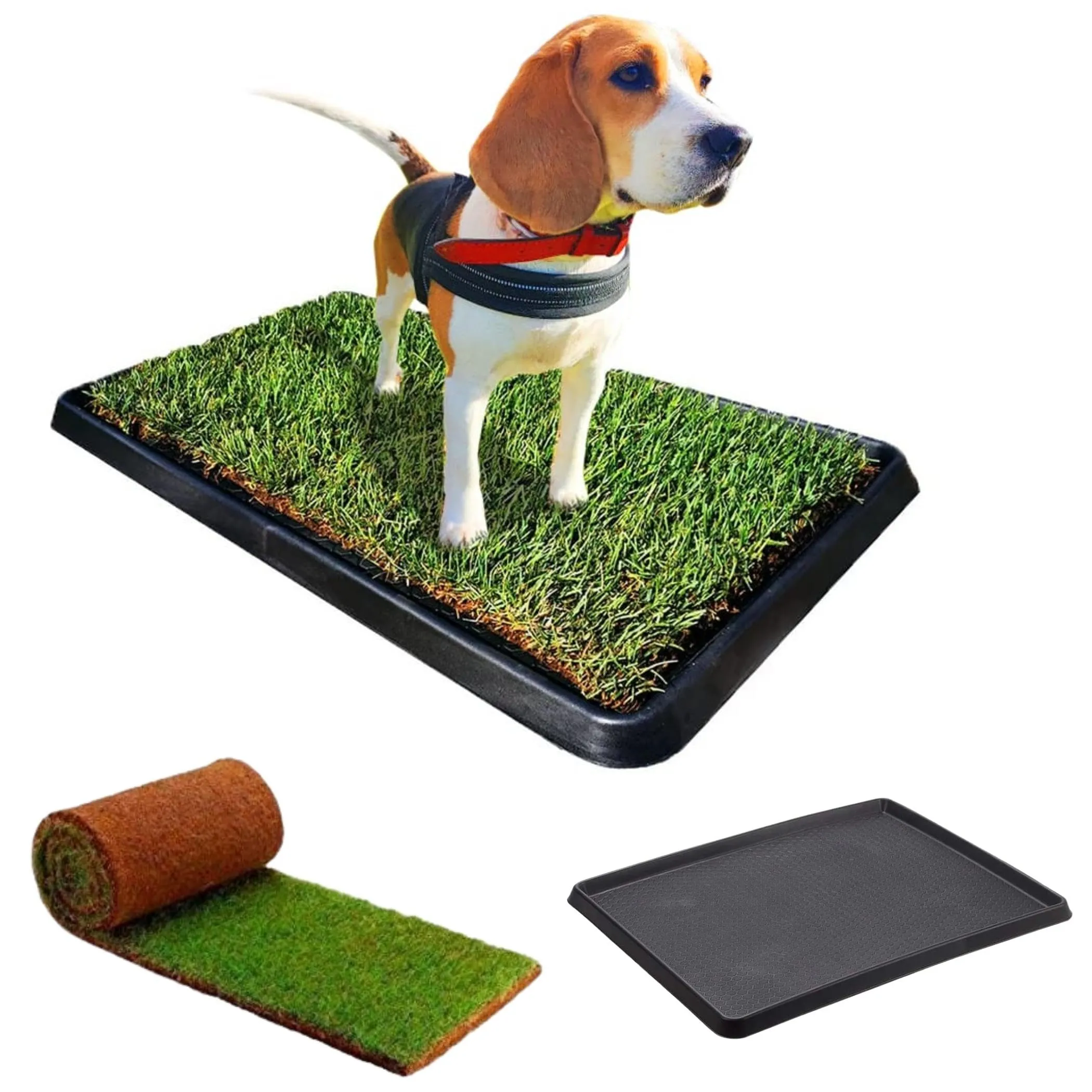 PetZolla Kit M Lettiera per cani in vera erba con vassoio 92x52 cm - immagine 1