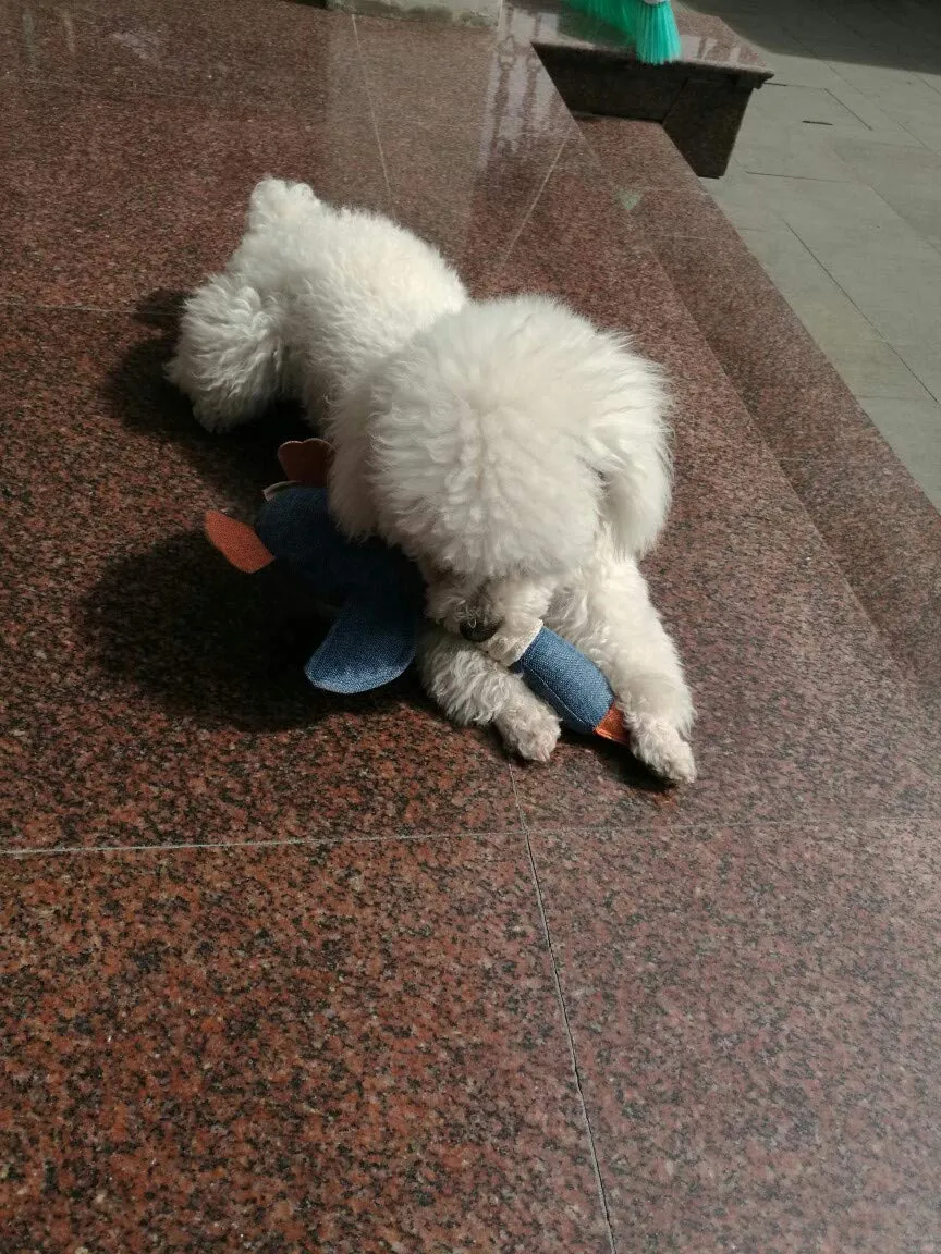 Vitscan Giocattolo per cani a forma di oca, peluche cigolante per cani di taglia piccola, media e grande - immagine 8