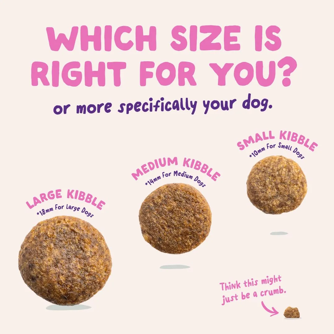Edgard & Cooper Croccantini per Cani Adulti, Barbabietola e Zucca, Senza Glutine, 7kg - immagine 5