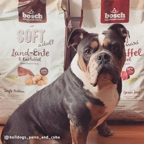 Bosch HPC Soft Terra Anatra e Patata Cibo Semi-umido per Cani Adulti, Senza Cereali, 2500 g - immagine 5