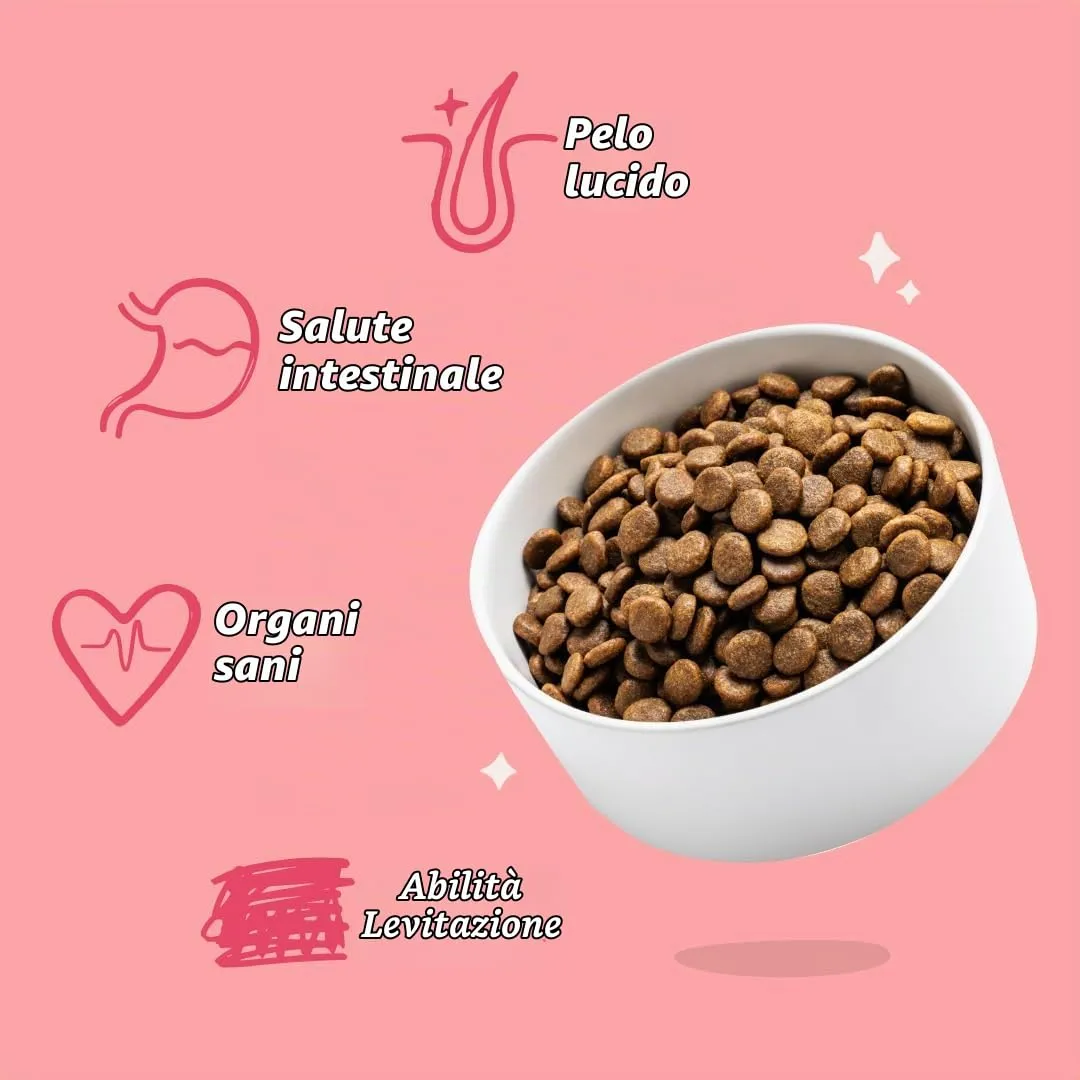 Edgard & Cooper Crocchette per Cani Adulti, Manzo e Pollo Bio, senza cereali, 7kg - immagine 6