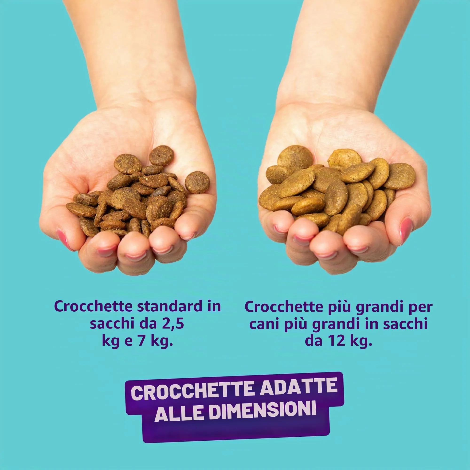 Edgard & Cooper Croccantini per Cani Adulti, Carote e Zucchine, Senza Glutine, 7kg - immagine 4