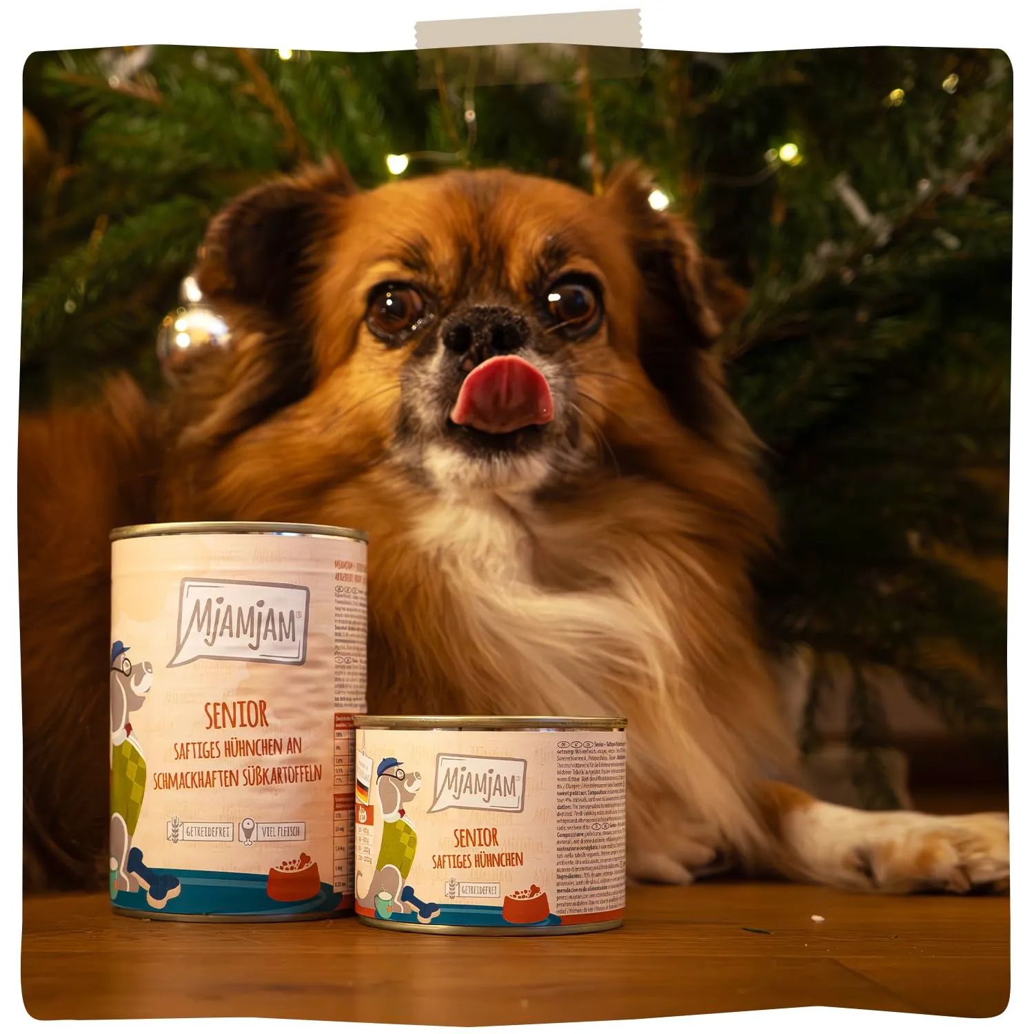 MjAMjAM Cibo Umido Premium per Cani Senior Pollo e Patate Dolci, Senza Cereali, 6x400g - immagine 6