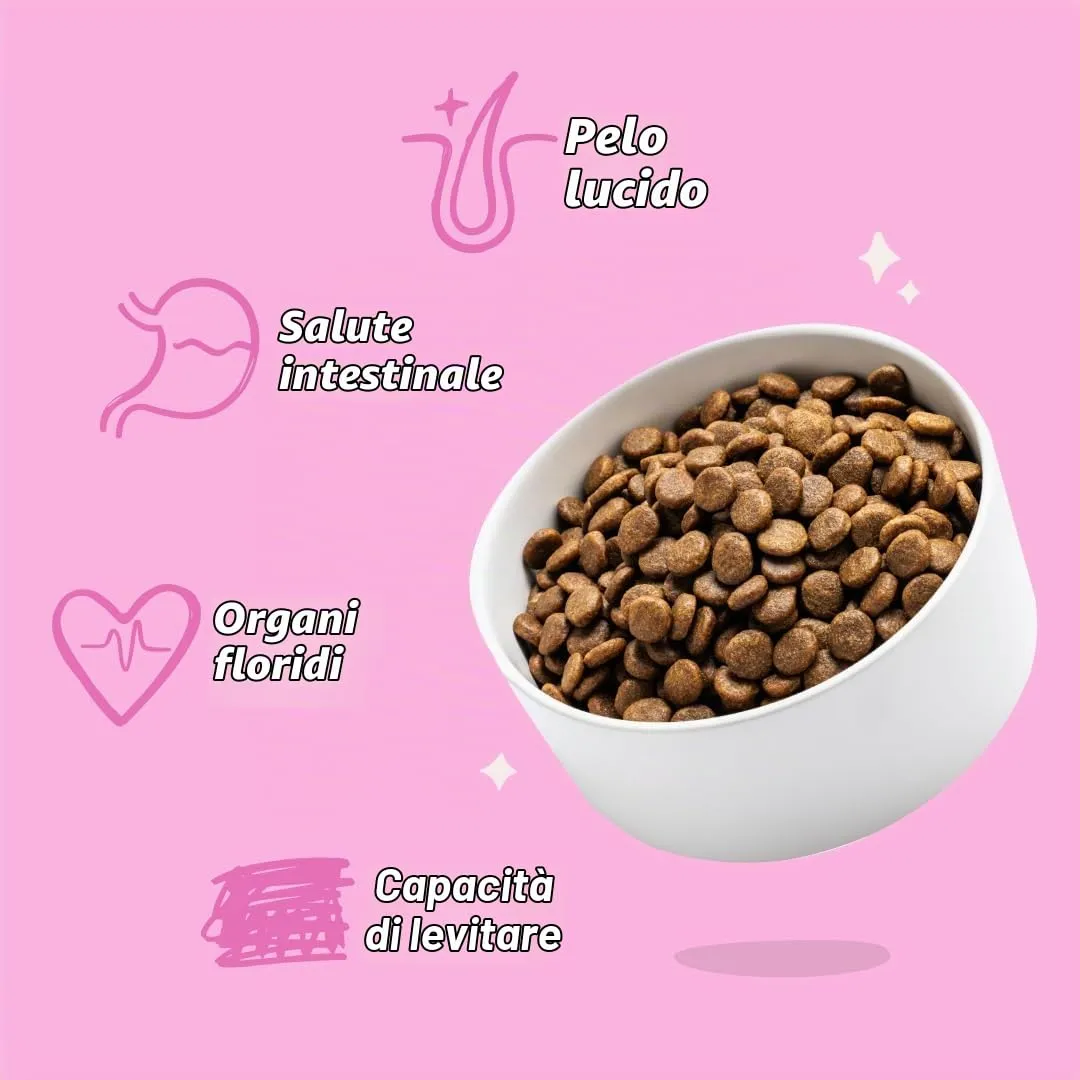 Edgard & Cooper Croccantini per Cani Adulti, Barbabietola e Zucca, Senza Glutine, 2.5kg - immagine 6