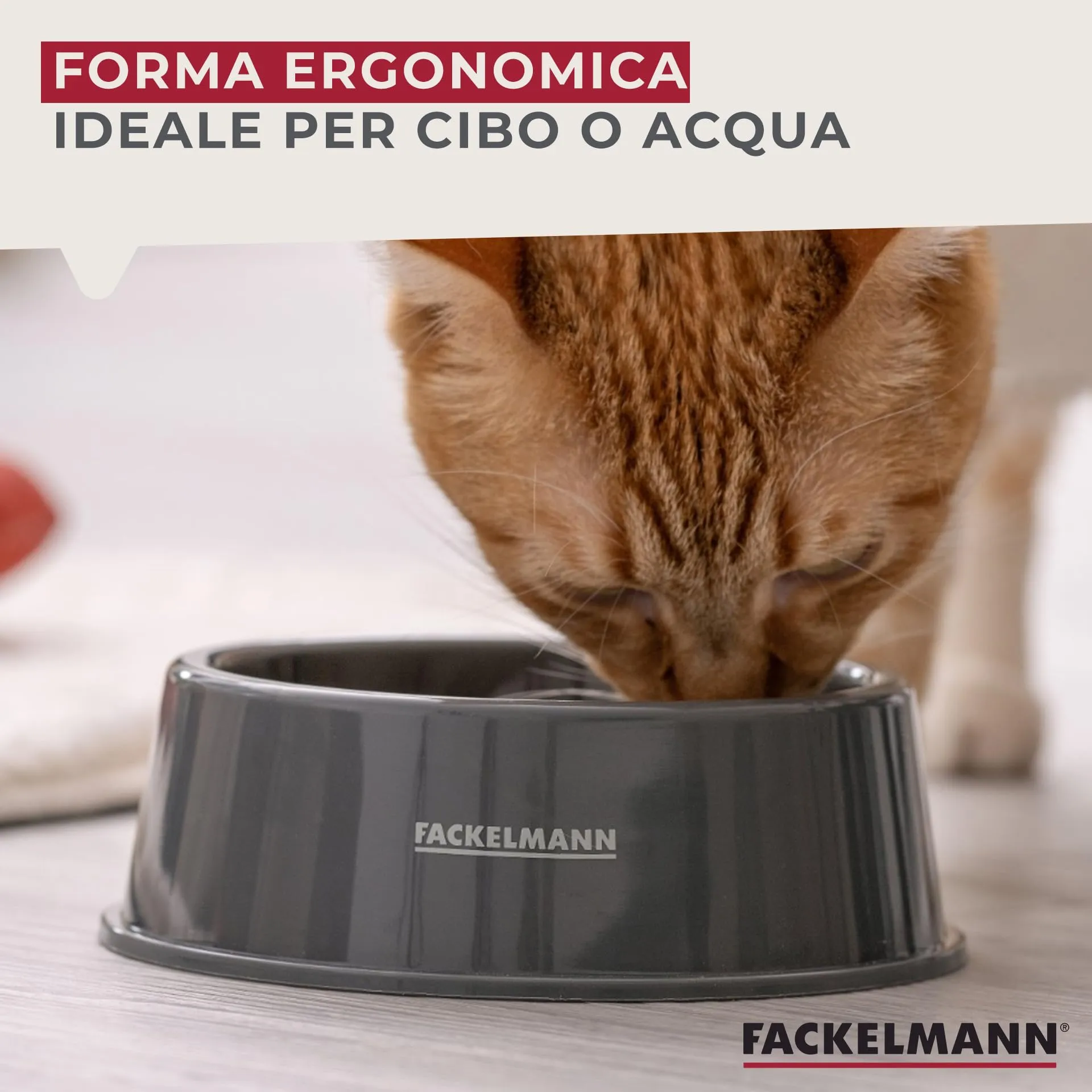 Fackelmann Ciotola per Cibo Animali in PP, Grigio, 15 x 15 x 5 cm - immagine 6
