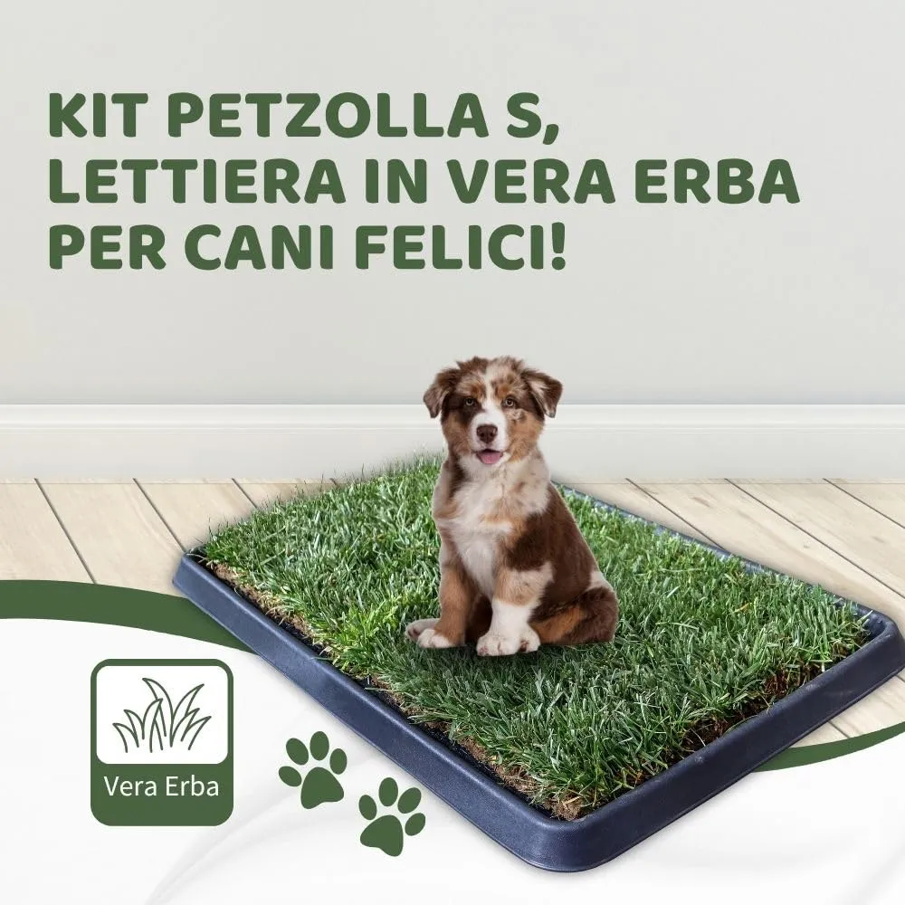 PetZolla Kit S Lettiera per cani in Vera Erba con Vassoio 60x40 cm - immagine 3