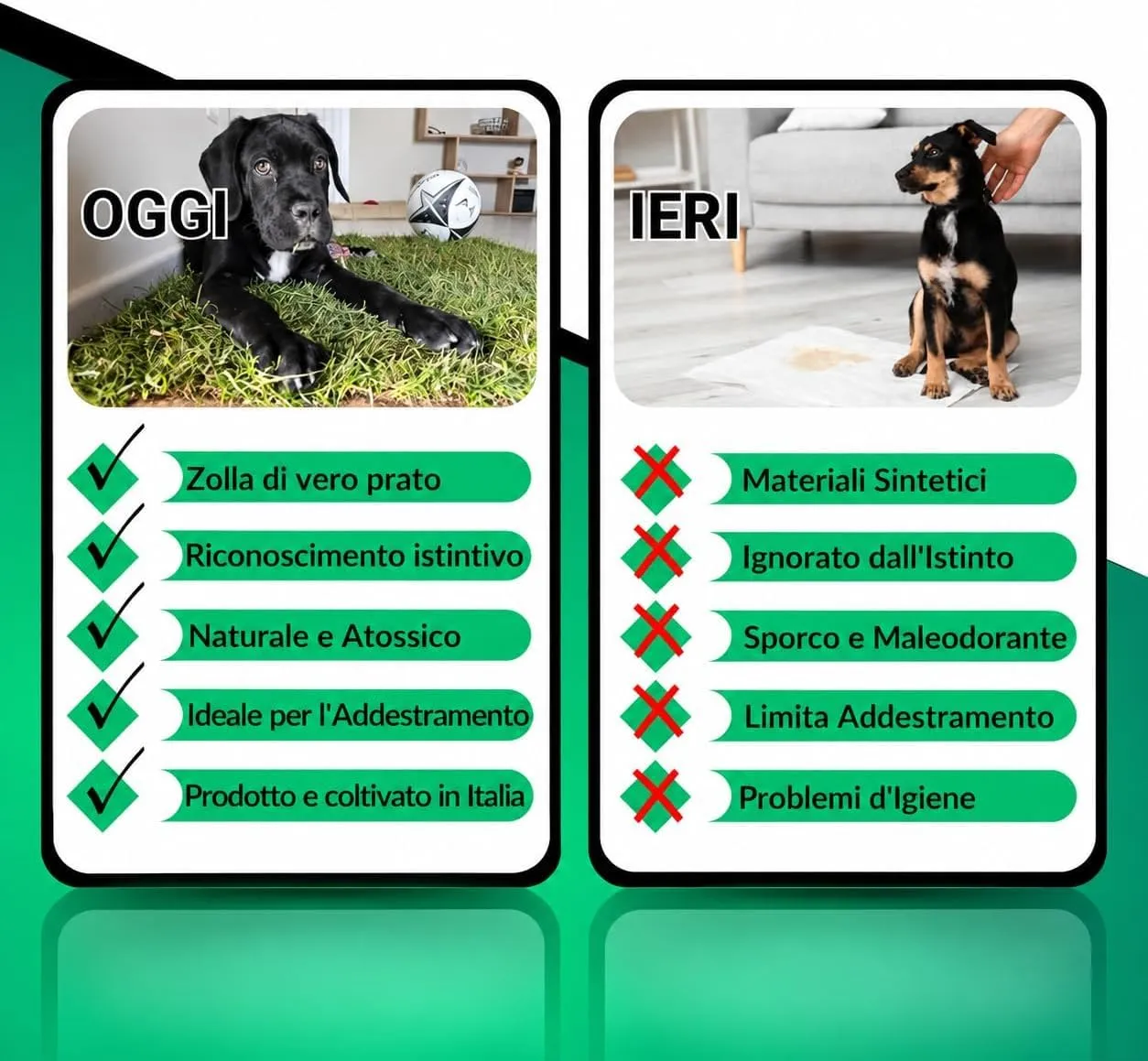 PetZolla Kit S Lettiera per cani in Vera Erba con Vassoio 60x40 cm - immagine 5