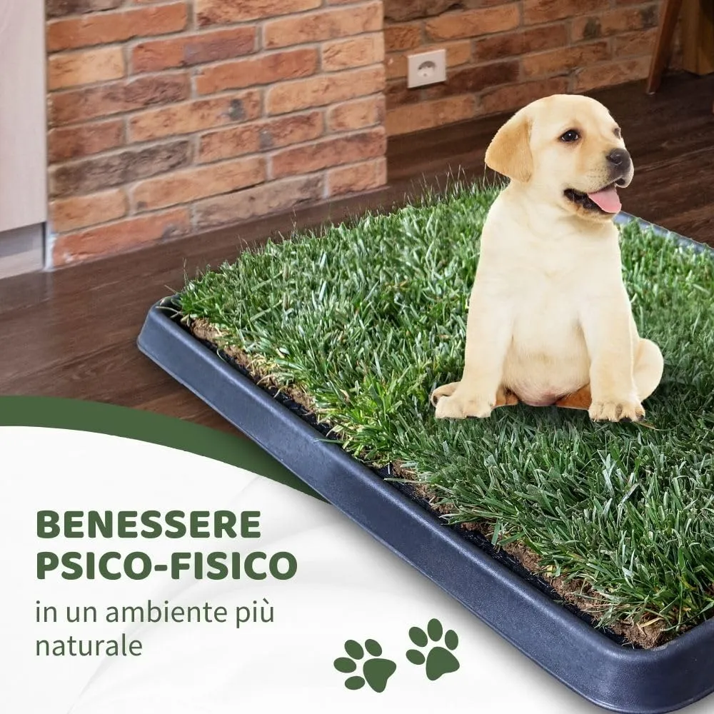PetZolla Kit S Lettiera per cani in Vera Erba con Vassoio 60x40 cm - immagine 8