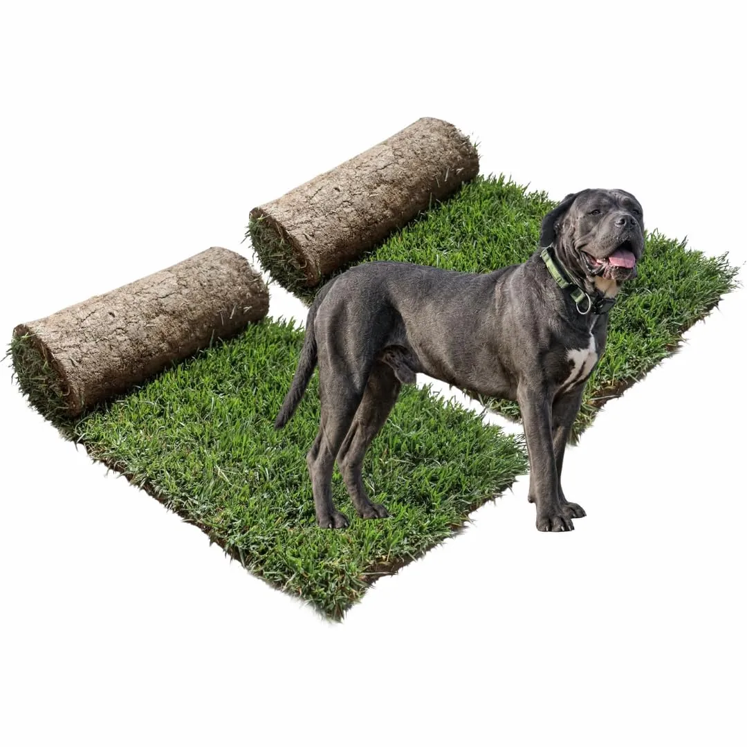 PetZolla Ricarica XL Traversina in vero prato per cani, 100x90 cm - immagine 1