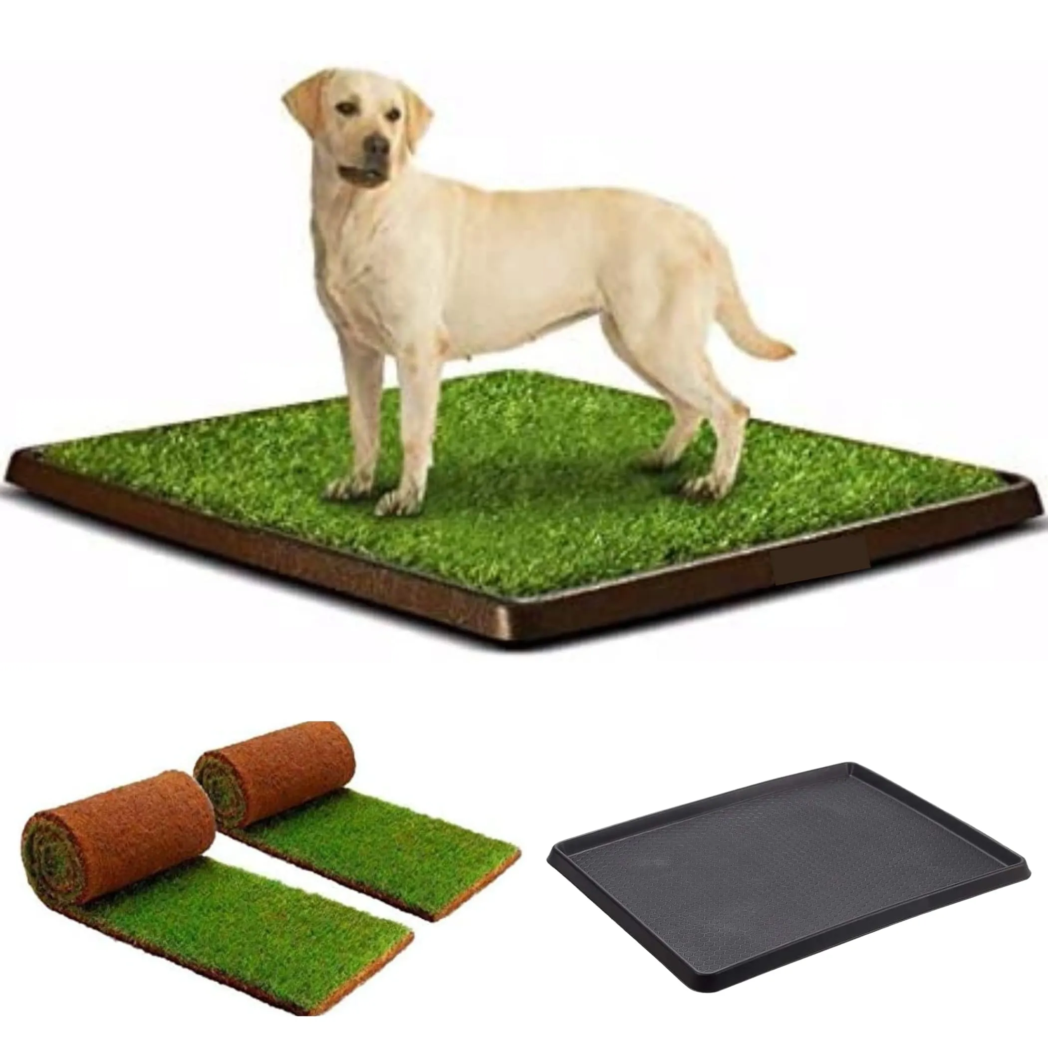 PetZolla Kit XL - Lettiera per cani in vera erba con vassoio 100x90 cm - immagine 1