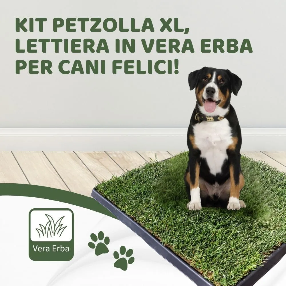 PetZolla Kit XL - Lettiera per cani in vera erba con vassoio 100x90 cm - immagine 3