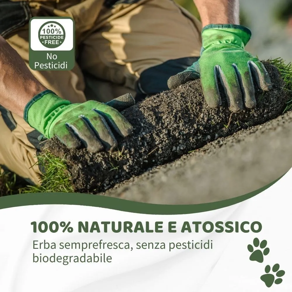 PetZolla Kit XL - Lettiera per cani in vera erba con vassoio 100x90 cm - immagine 4