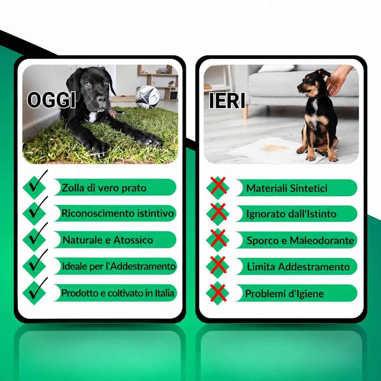 PetZolla Kit XL - Lettiera per cani in vera erba con vassoio 100x90 cm - immagine 5