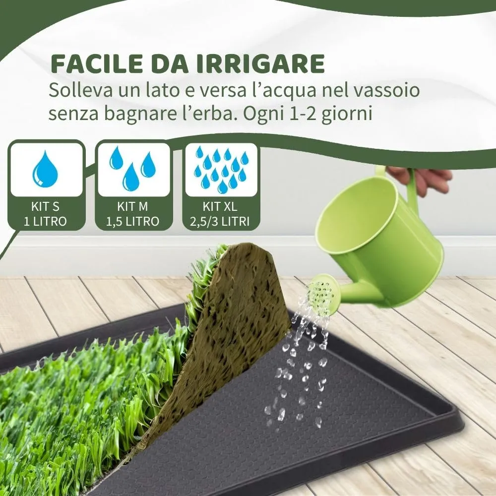 PetZolla Kit XL - Lettiera per cani in vera erba con vassoio 100x90 cm - immagine 8