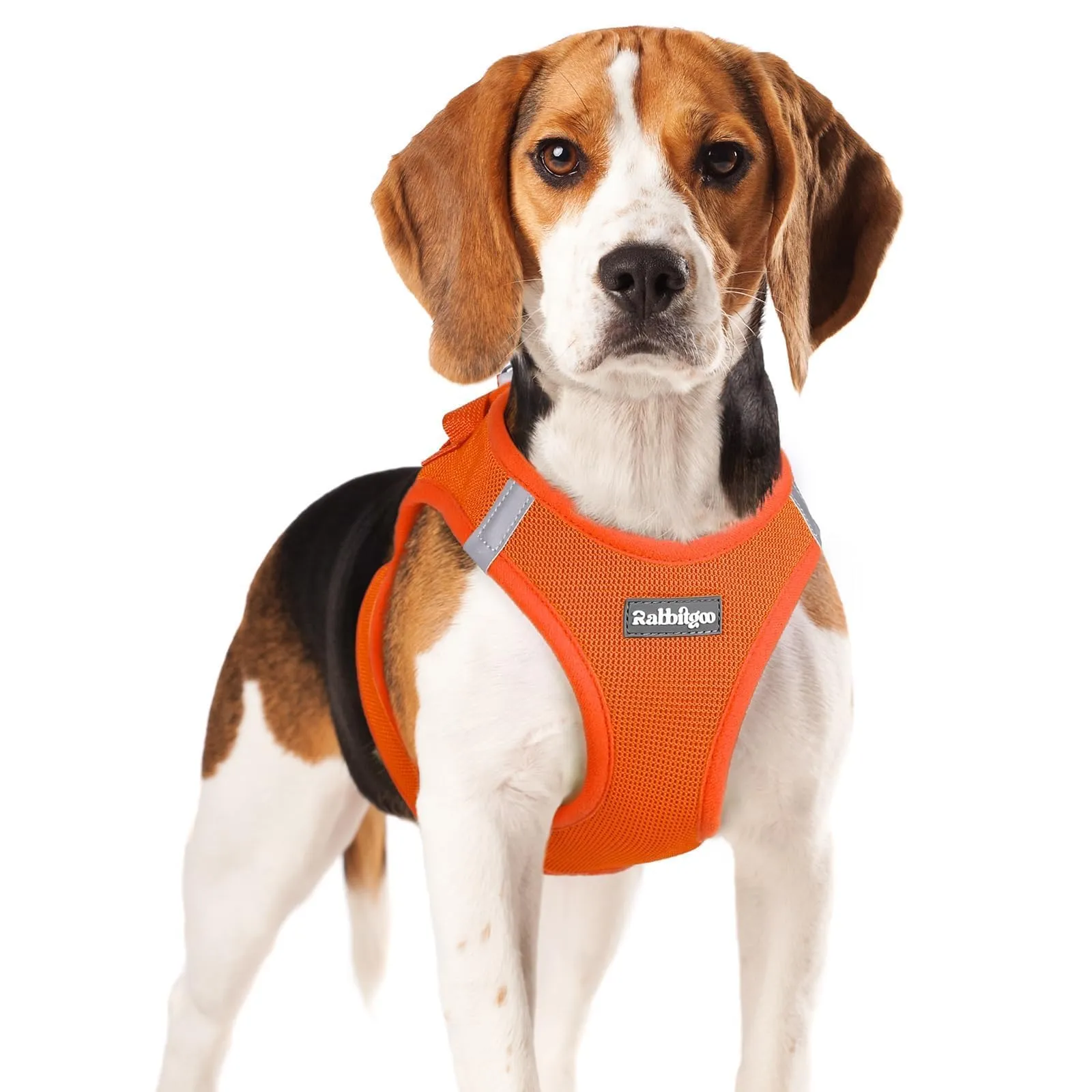 rabbitgoo Pettorina Cane, Arancione, XL - immagine 1
