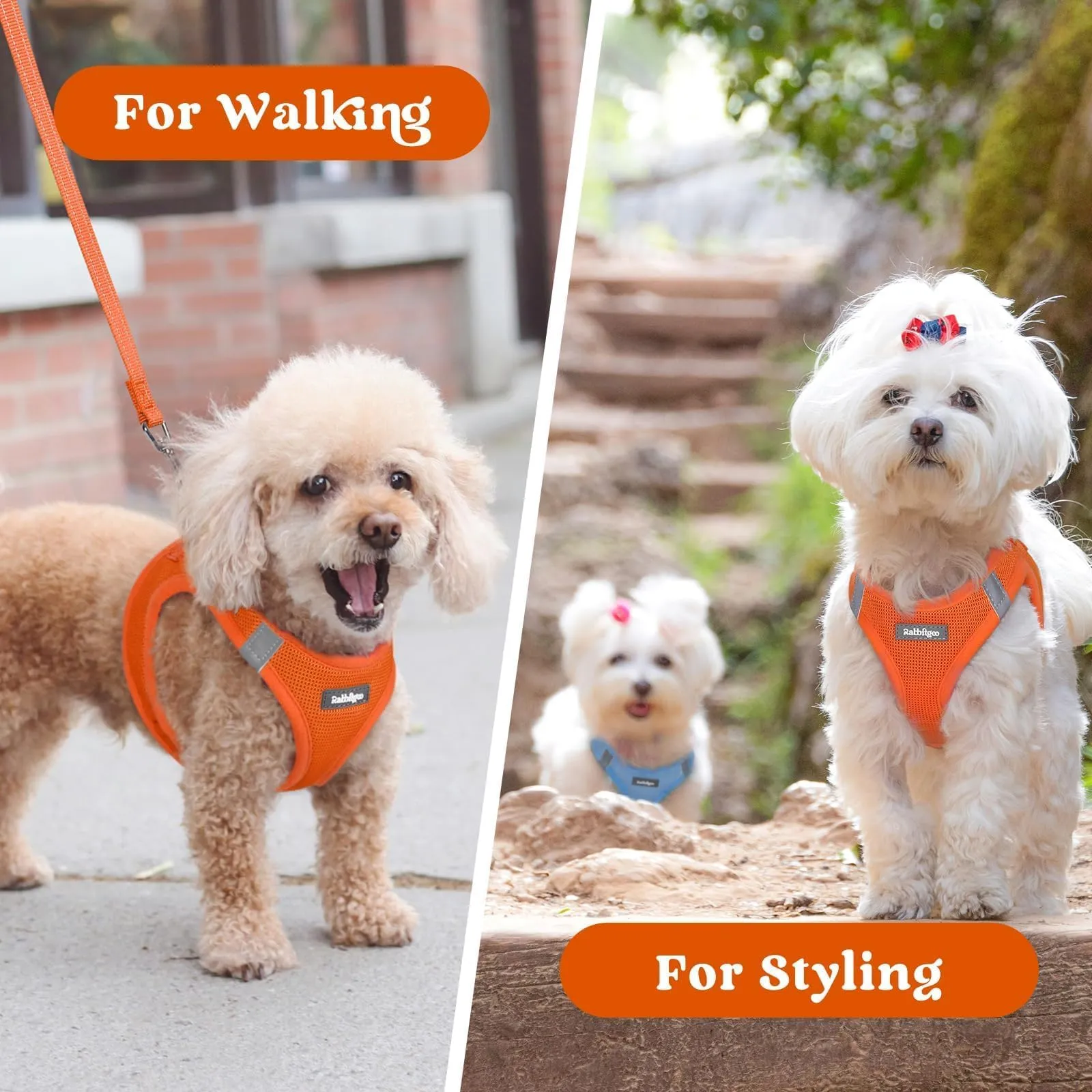rabbitgoo Pettorina Cane, Arancione, XL - immagine 9