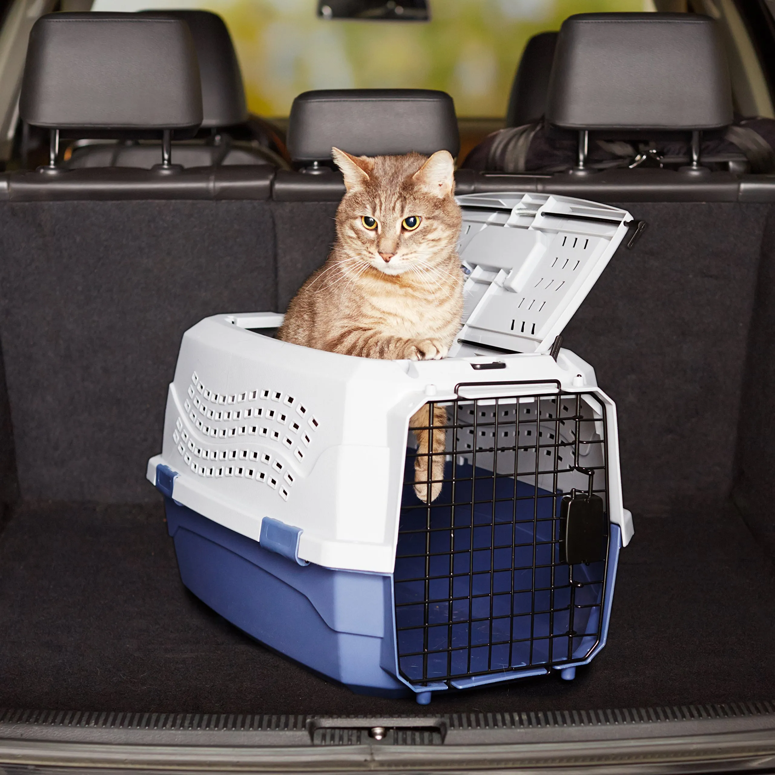 Amazon Basics Cuccia per Animali Domestici a Due Porte, 58 x 38 x 33 cm, Blu - immagine 8