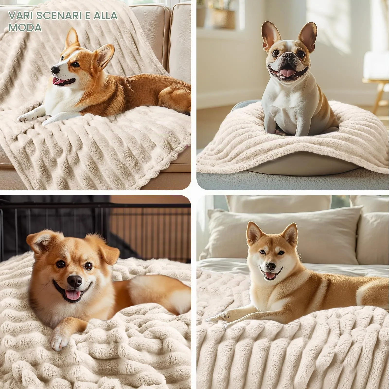 luciphia Coperta per Cani e Gatti in Flanella, Set da 3 Pezzi, Lavabile, Beige, 45 x 75 cm - immagine 3