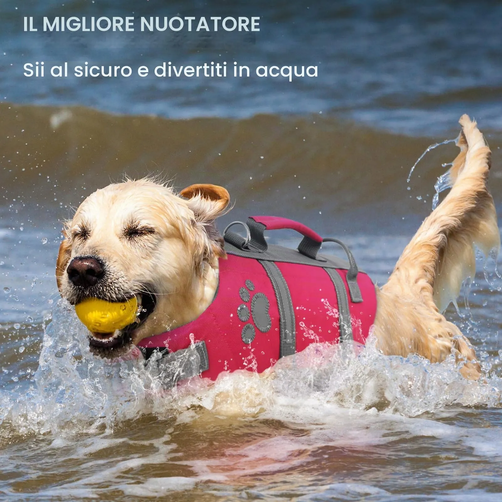 Queenmore Salvagente per Cani Piccoli, Regolabile e Riflettente (S, Fucsia) - immagine 6